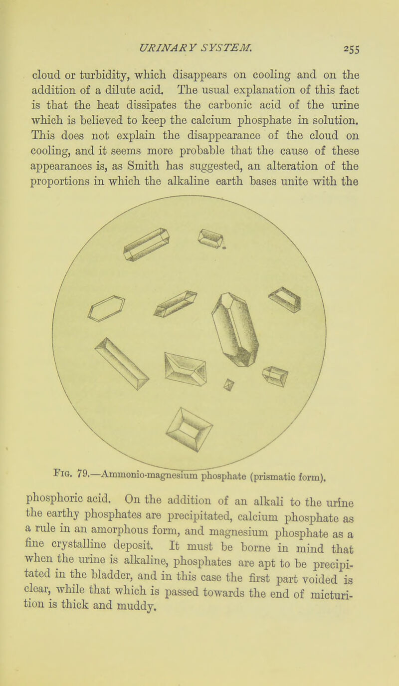 cloud or turbidity, which disappears on cooling and on the addition of a dilute acid. The usual explanation of this fact is that the heat dissipates the carbonic acid of the urine which is believed to keep the calcium phosphate in solution. This does not explain the disappearance of the cloud on cooling, and it seems more probable that the cause of these appearances is, as Smith has suggested, an alteration of the proportions in which the alkaline earth bases unite with the Fig. 79.—Ammonio-magnesium phosphate (prismatic form). phosphoric acid. On the addition of an alkali to the urine the earthy phosphates are precipitated, calcium phosphate as a rule in an amorphous form, and magnesium phosphate as a fine crystalline deposit. It must be borne in mind that when the urine is alkaline, phosphates are apt to be precipi- tated in the bladder, and in this case the first part voided is clear, while that which is passed towards the end of micturi- tion is thick and muddy.