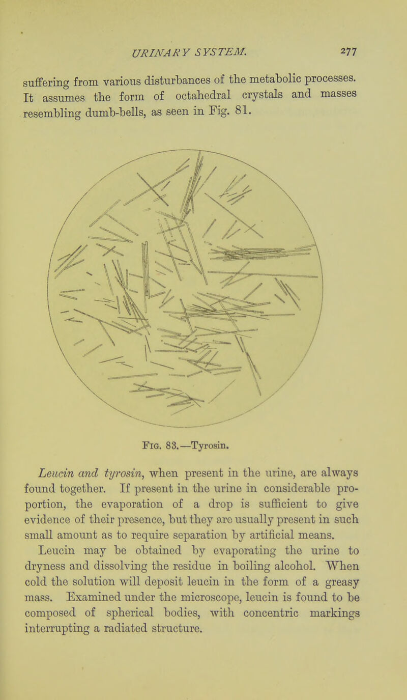 suffering from various disturbances of the metabolic processes. It assumes the form of octahedral crystals and masses resembling dumb-bells, as seen in Fig. 81. Fig. 83.—Tyrosin. Leucin and tyrosin, when present in the urine, are always found together. If present in the urine in considerable pro- portion, the evaporation of a drop is sufficient to give evidence of their presence, but they are usually present in such small amount as to require separation by artificial means. Leucin may be obtained by evaporating the urine to dryness and dissolving the residue in boiling alcohol. When cold the solution will deposit leucin in the form of a greasy mass. Examined under the microscope, leucin is found to be composed of spherical bodies, with concentric markings interrupting a radiated structure.