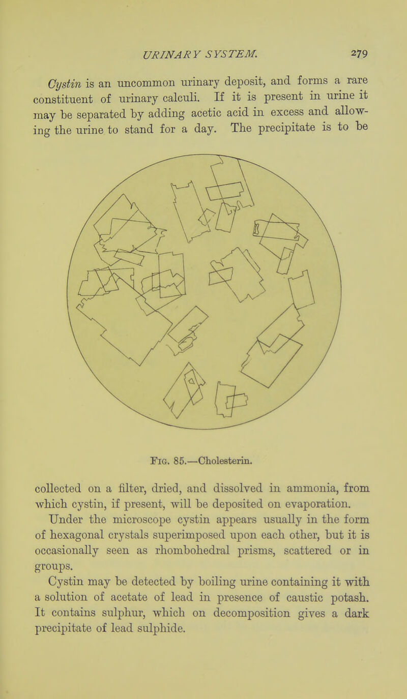Cystin is an tiiicominon urinary deposit, and forms a rare constituent of urinary calculi. If it is present in urine it may be separated by adding acetic acid in excess and allow- ing the urine to stand for a day. The precipitate is to be Fia. 85.—Cholesterin. collected on a filter, dried, and dissolved in ammonia, from which cystin, if present, will be deposited on evaporation. Under the microscope cystin appears usually in the form of hexagonal crystals superimposed upon each other, but it is occasionally seen as rhombohedral prisms, scattered or in groups. Cystin may be detected by boiling urine containing it with a solution of acetate of lead in presence of caustic potash. It contains sulphur, which on decomposition gives a dark precipitate of lead sulphide.