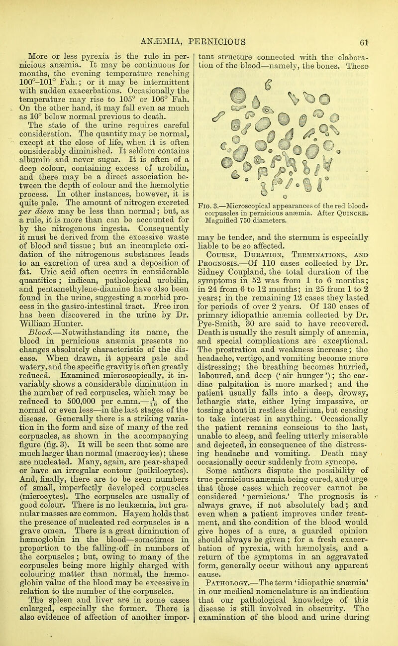 More or less pyrexia is the rule in per- nicious anaemia. It may be continuous for months, the evening temperature reaching 100°-101° Fah.; or it may be intermittent with sudden exacerbations. Occasionally the temperature may rise to 105° or 106° Fah. On the other hand, it may fall even as much as 10° below normal previous to death. The state of the urine requires careful consideration. The quantity may be normal, except at the close of hfe, when it is often considerably diminished. It seldom contains albumin and never sugar. It is often of a deep colour, containing excess of urobilin, and there may be a direct association be- tween the depth of colour and the hemolytic process. In other instances, however, it is quite pale. The amount of nitrogen excreted per diem may be less than normal; but, as a rule, it is more than can be accounted for by the nitrogenous ingesta. Consequently it must be derived from the excessive waste of blood and tissue; but an incomplete oxi- dation of the nitrogenous substances leads to an excretion of urea and a deposition of fat. Uric acid often occurs in considerable quantities; indican, pathological urobilin, and pentamethylene-diamine have also been found in the urine, suggesting a morbid pro- cess in the gastro-intestinal tract. Free iron has been discovered in the urine by Dr. William Hunter. Blood.—Notwithstanding its name, the blood in pernicious anaemia presents no changes absolutely characteristic of the dis- ease. When drawn, it appears pale and watery, and the specific gravity is often greatly reduced. Examined microscopically, it in- variably shows a considerable diminution in the number of red corpuscles, which may be reduced to 500,000 per c.mm.—~ of the normal or even less—in the last stages of the disease. Generally there is a striking varia- tion in the form and size of many of the red corpuscles, as shown in the accompanying figure (fig. 3). It will be seen that some are much larger than normal (macrocytes); these are nucleated. Many, again, are pear-shaped or have an irregular contour (poikilocytes). And, finally, there are to be seen numbers of small, imperfectly developed corpuscles (microcytes). The corpuscles are usually of good colour. There is no leukaemia, but gra- nular masses are common. Hayera holds that the presence of nucleated red corpuscles is a grave omen. There is a great diminution of haemoglobin in the blood—sometimes in proportion to the falling-off in numbers of the corpuscles; but, owing to many of the corpuscles being more highly charged with colouring matter than normal, the haemo- globin value of the blood may be excessive in relation to the number of the corpuscles. Tho spleen and liver are in some cases enlarged, especially the former. There is also evidence of affection of another impor- tant structure connected with the elabora- tion of the blood—namely, the bones. These Fig. 3.—Microscopical appearances of the red blood- corpuscles in pernicious anremia. After Quincke. Magnified 750 diameters. may be tender, and the sternum is especially liable to be so affected. Course, Duration, Terminations, and- Prognosis.—Of 110 cases collected by Dr. Sidney Coupland, the total duration of the symptoms in 52 was from 1 to 6 months; in 24 from 6 to 12 months; in 25 from 1 to 2 years; in the remaining 12 cases they lasted for periods of over 2 years. Of 130 cases of primary idiopathic aneemia collected by Dr. Pye-Smith, 30 are said to have recovered. Death is usually the result simply of anaemia, and special complications are exceptional. The prostration and weakness increase; the headache, vertigo, and vomiting become more distressing; the breathing becomes hurried, laboured, and deep (' air hunger'); the car- diac palpitation is more marked; and the patient usually falls into a deep, drowsy, lethargic state, either lying impassive, or tossing about in restless delirium, but ceasing to take interest in anything. 1 Occasionally the patient remains conscious to the last, unable to sleep, and feeling utterly miserable and dejected, in consequence of the distress- ing headache and vomiting. Death may occasionally occur suddenly from syncope. Some authors dispute the possibility of true pernicious anaemia being cured, and urge that those cases which recover cannot be considered 'pernicious.' The prognosis is always grave, if not absolutely bad; and even when a patient improves under treat- ment, and the condition of the blood would give hopes of a cure, a guarded opinion should always be given; for a fresh exacer- bation of pyrexia, with haemolysis, and a return of the symptoms in an aggravated form, generally occur without any apparent cause. Pathology.—The term 'idiopathic anaemia' in our medical nomenclature is an indication that our pathological knowledge of this disease is still involved in obscurity. The examination of the blood and mine during