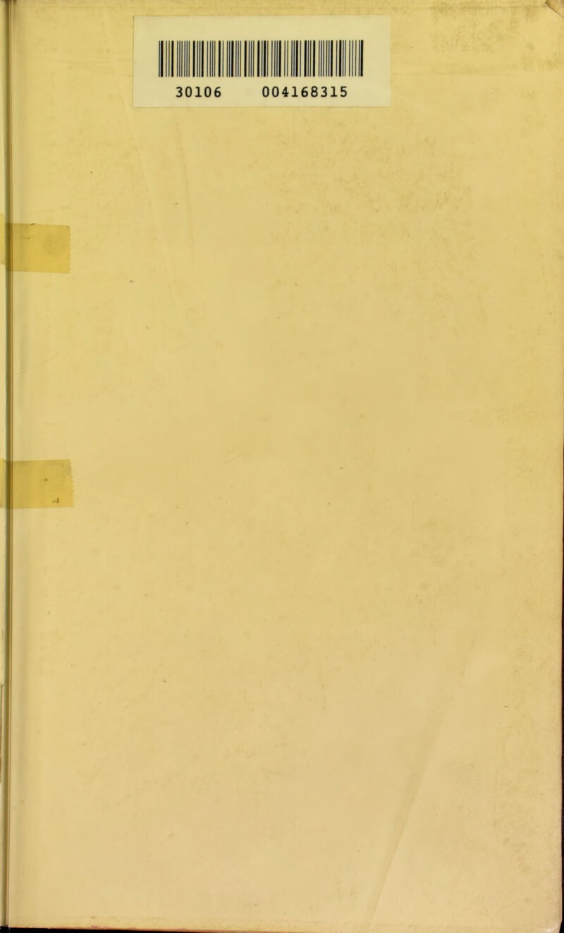 30106 004168315