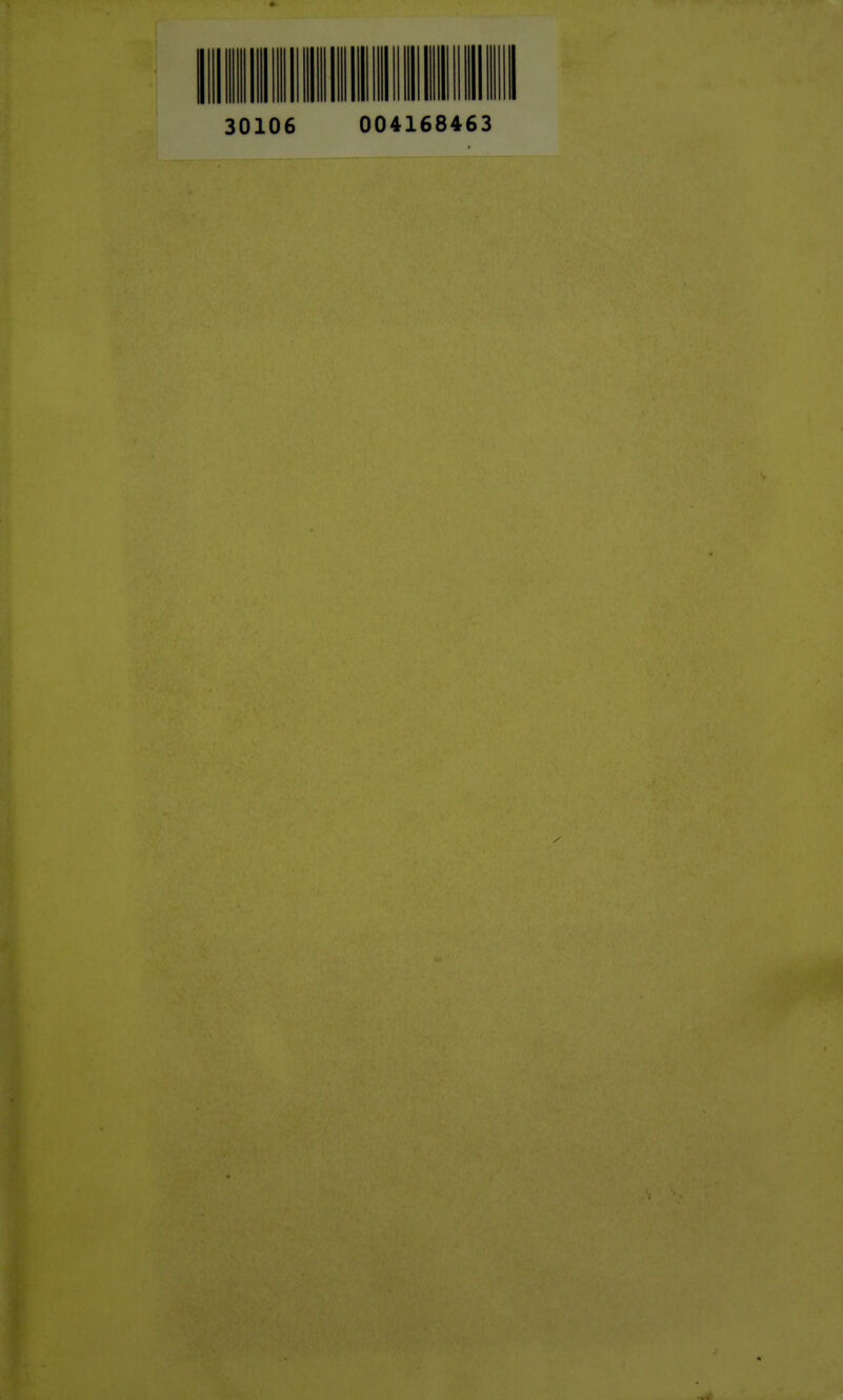 30106 004168463