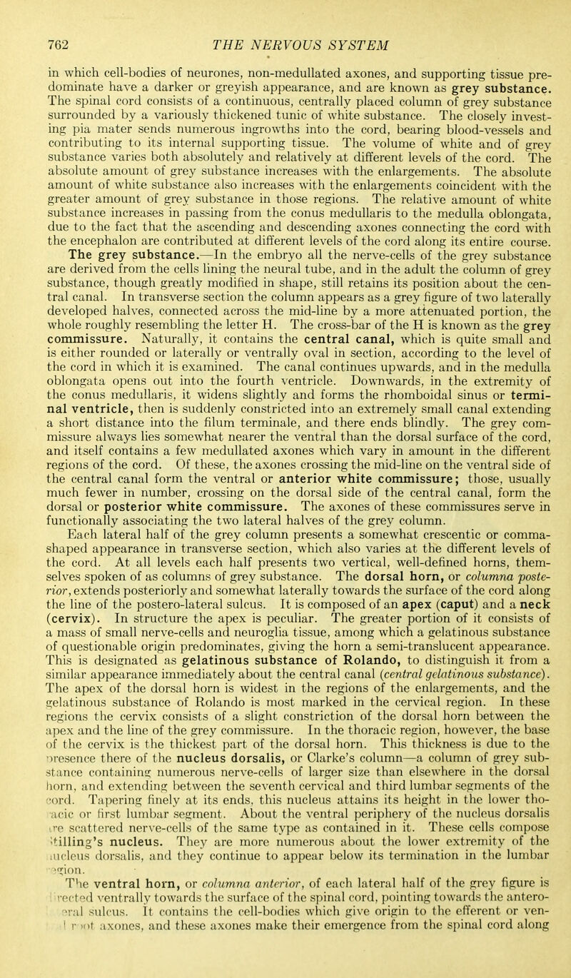 in which cell-bodies of neurones, non-medullated axones, and supporting tissue pre- dominate have a darker or greyish appearance, and are known as grey substance. The spinal cord consists of a continuous, centrally placed column of grey substance surrounded by a variously thickened tunic of white substance. The closely invest- ing pia mater sends numerous ingrowths into the cord, bearing blood-vessels and contributing to its internal supporting tissue. The volume of white and of grey substance varies both absolutely and relatively at different levels of the cord. The absolute amount of grey substance increases with the enlargements. The absolute amount of white substance also increases with the enlargements coincident with the greater amount of grey substance in those regions. The relative amount of white substance increases in passing from the conus medullaris to the medulla oblongata, due to the fact that the ascending and descending axones connecting the cord with the encephalon are contributed at different levels of the cord along its entire course. The grey substance.—In the embryo all the nerve-cells of the grey substance are derived from the cells lining the neural tube, and in the adult the column of grey substance, though greatly modified in shape, still retains its position about the cen- tral canal. In transverse section the column appears as a grey figure of two laterally developed halves, connected across the mid-line by a more attenuated portion, the whole roughly resembling the letter H. The cross-bar of the H is known as the grey commissure. Naturally, it contains the central canal, which is quite small and is either rounded or laterally or ventrally oval in section, according to the level of the cord in which it is examined. The canal continues upwards, and in the medulla oblongata opens out into the fourth ventricle. Downwards, in the extremity of the conus medullaris, it widens slightly and forms the rhomboidal sinus or termi- nal ventricle, then is suddenly constricted into an extremely small canal extending a short distance into the filum terminate, and there ends blindly. The grey com- missure always lies somewhat nearer the ventral than the dorsal surface of the cord, and itself contains a few medullated axones which vary in amount in the different regions of the cord. Of these, the axones crossing the mid-line on the ventral side of the central canal form the ventral or anterior white commissure; those, usually much fewer in number, crossing on the dorsal side of the central canal, form the dorsal or posterior white commissure. The axones of these commissures serve in functionally associating the two lateral halves of the grey column. Each lateral half of the grey column presents a somewhat crescentic or comma- shaped appearance in transverse section, which also varies at the different levels of the cord. At all levels each half presents two vertical, well-defined horns, them- selves spoken of as columns of grey substance. The dorsal horn, or columna poste- rior, extends posteriorly and somewhat laterally towards the surface of the cord along the line of the postero-lateral sulcus. It is composed of an apex (caput) and a neck (cervix). In structure the apex is peculiar. The greater portion of it consists of a mass of small nerve-cells and neuroglia tissue, among which a gelatinous substance of questionable origin predominates, giving the horn a semi-translucent appearance. This is designated as gelatinous substance of Rolando, to distinguish it from a similar appearance immediately about the central canal (central gelatinous substance). The apex of the dorsal horn is widest in the regions of the enlargements, and the gelatinous substance of Rolando is most marked in the cervical region. In these regions the cervix consists of a slight constriction of the dorsal horn between the apex and the line of the grey commissure. In the thoracic region, however, the base of the cervix is the thickest part of the dorsal horn. This thickness is due to the presence there of the nucleus dorsalis, or Clarke's column—a column of grey sub- stance containing numerous nerve-cells of larger size than elsewhere in the dorsal horn, and extending between the seventh cervical and third lumbar segments of the cord. Tapering finely at its ends, this nucleus attains its height in the lower tho- acic or first lumbar segment. About the ventral periphery of the nucleus dorsalis ire scattered nerve-cells of the same type as contained in it. These cells compose itilling's nucleus. They are more numerous about the lower extremity of the lucleus dorsalis, and they continue to appear below its termination in the lumbar ^gion. The ventral horn, or columna anterior, of each lateral half of the grey figure is rected ventrally towards the surface of the spinal cord, pointing towards the antero- eral sulcus. It contains the cell-bodies which give origin to the efferent or ven- i r »ot axones, and these axones make their emergence from the spinal cord along