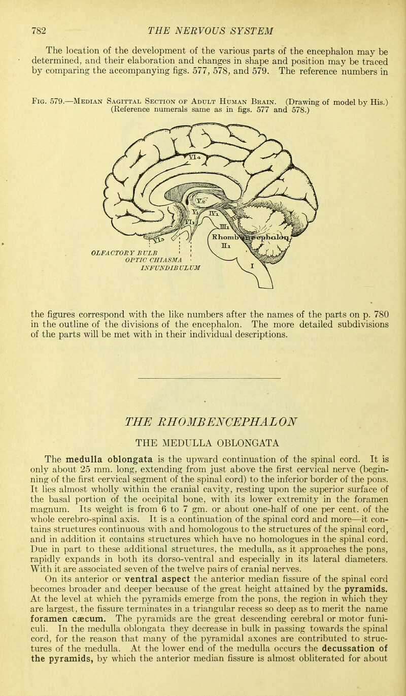 The location of the development of the various parts of the encephalon may be determined, and their elaboration and changes in shape and position may be traced by comparing the accompanying figs. 577, 578, and 579. The reference numbers in Fig. 579.—Median Sagittal Section of Adult Human Brain. (Drawing of model by His.) (Reference numerals same as in figs. 577 and 578.) the figures correspond with the like numbers after the names of the parts on p. 780 in the outline of the divisions of the encephalon. The more detailed subdivisions of the parts will be met with in their individual descriptions. THE RHOMBENCEPHALON THE MEDULLA OBLONGATA The medulla oblongata is the upward continuation of the spinal cord. It is only about 25 mm. long, extending from just above the first cervical nerve (begin- ning of the first cervical segment of the spinal cord) to the inferior border of the pons. It lies almost wholly within the cranial cavity, resting upon the superior surface of the basal portion of the occipital bone, with its lower extremity in the foramen magnum. Its weight is from 6 to 7 gm. or about one-half of one per cent, of the whole cerebro-spinal axis. It is a continuation of the spinal cord and more—it con- tains structures continuous with and homologous to the structures of the spinal cord, and in addition it contains structures which have no homologues in the spinal cord. Due in part to these additional structures, the medulla, as it approaches the pons, rapidly expands in both its dorso-ventral and especially in its lateral diameters. With it are associated seven of the twelve pairs of cranial nerves. On its anterior or ventral aspect the anterior median fissure of the spinal cord becomes broader and deeper because of the great height attained by the pyramids. At the level at which the pyramids emerge from the pons, the region in which they are largest, the fissure terminates in a triangular recess so deep as to merit the name foramen caecum. The pyramids are the great descending cerebral or motor funi- culi. In the medulla oblongata they decrease in bulk in passing towards the spinal cord, for the reason that many of the pyramidal axones are contributed to struc- tures of the medulla. At the lower end of the medulla occurs the decussation of the pyramids, by which the anterior median fissure is almost obliterated for about