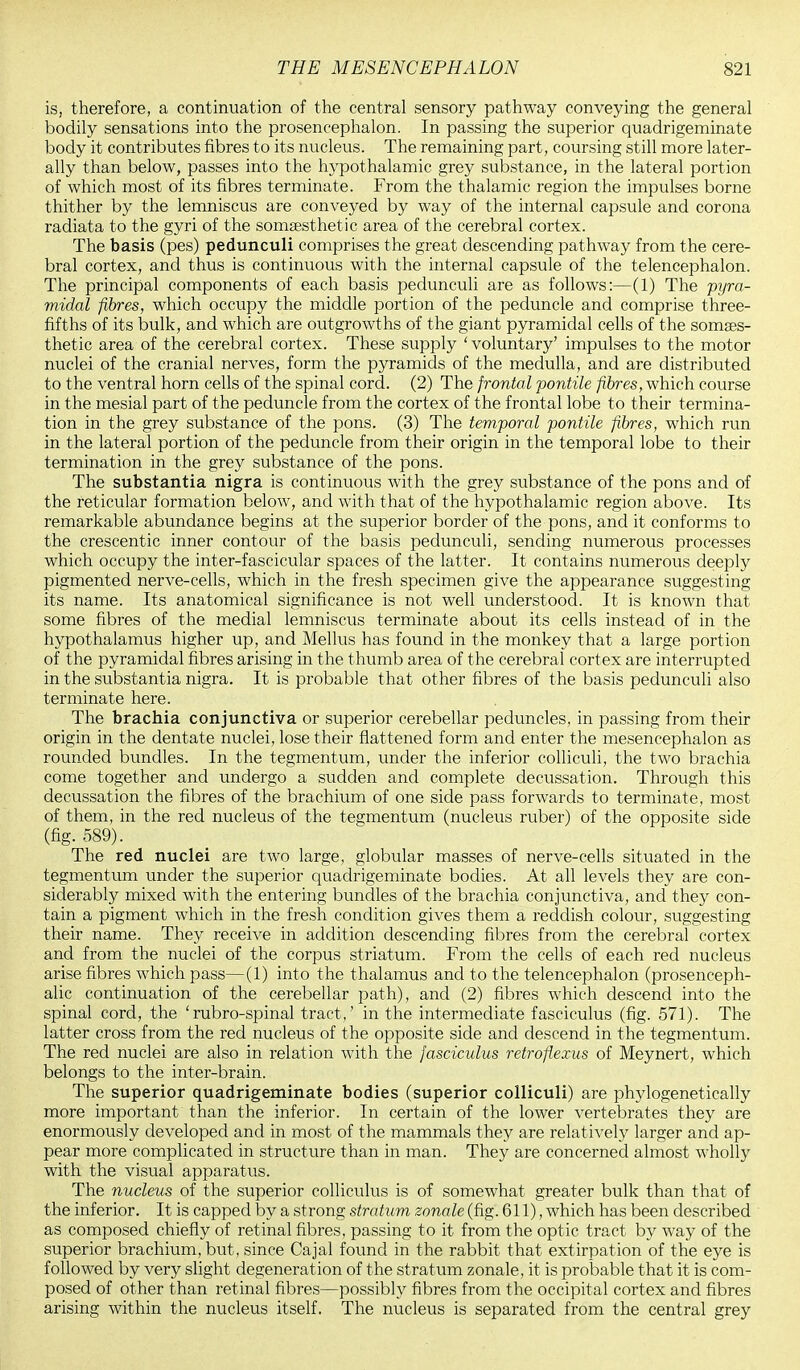 is, therefore, a continuation of the central sensory pathway conveying the general bodily sensations into the prosencephalon. In passing the superior quadrigeminate body it contributes fibres to its nucleus. The remaining part, coursing still more later- ally than below, passes into the hypothalamic grey substance, in the lateral portion of which most of its fibres terminate. From the thalamic region the impulses borne thither by the lemniscus are conveyed by way of the internal capsule and corona radiata to the gyri of the somsesthetic area of the cerebral cortex. The basis (pes) pedunculi comprises the great descending pathway from the cere- bral cortex, and thus is continuous with the internal capsule of the telencephalon. The principal components of each basis pedunculi are as follows:—(1) The pyra- midal fibres, which occupy the middle portion of the peduncle and comprise three- fifths of its bulk, and which are outgrowths of the giant pyramidal cells of the somses- thetic area of the cerebral cortex. These supply ' voluntary' impulses to the motor nuclei of the cranial nerves, form the pyramids of the medulla, and are distributed to the ventral horn cells of the spinal cord. (2) The frontal pontile fibres, which course in the mesial part of the peduncle from the cortex of the frontal lobe to their termina- tion in the grey substance of the pons. (3) The temporal pontile fibres, which run in the lateral portion of the peduncle from their origin in the temporal lobe to their termination in the grey substance of the pons. The substantia nigra is continuous with the grey substance of the pons and of the reticular formation below, and with that of the hypothalamic region above. Its remarkable abundance begins at the superior border of the pons, and it conforms to the crescentic inner contour of the basis pedunculi, sending numerous processes which occupy the inter-fascicular spaces of the latter. It contains numerous deeply pigmented nerve-cells, which in the fresh specimen give the appearance suggesting its name. Its anatomical significance is not well understood. It is known that some fibres of the medial lemniscus terminate about its cells instead of in the hypothalamus higher up, and Melius has found in the monkey that a large portion of the pyramidal fibres arising in the thumb area of the cerebral cortex are interrupted in the substantia nigra. It is probable that other fibres of the basis pedunculi also terminate here. The brachia conjunctiva or superior cerebellar peduncles, in passing from their origin in the dentate nuclei, lose their flattened form and enter the mesencephalon as rounded bundles. In the tegmentum, under the inferior colliculi, the two brachia come together and undergo a sudden and complete decussation. Through this decussation the fibres of the brachium of one side pass forwards to terminate, most of them, in the red nucleus of the tegmentum (nucleus ruber) of the opposite side (fig. 589). The red nuclei are two large, globular masses of nerve-cells situated in the tegmentum under the superior quadrigeminate bodies. At all levels they are con- siderably mixed with the entering bundles of the brachia conjunctiva, and they con- tain a pigment which in the fresh condition gives them a reddish colour, suggesting their name. They receive in addition descending fibres from the cerebral cortex and from the nuclei of the corpus striatum. From the cells of each red nucleus arise fibres which pass—(1) into the thalamus and to the telencephalon (prosenceph- alic continuation of the cerebellar path), and (2) fibres which descend into the spinal cord, the 'rubro-spinal tract,' in the intermediate fasciculus (fig. 571). The latter cross from the red nucleus of the opposite side and descend in the tegmentum. The red nuclei are also in relation with the fasciculus retroflexus of Meynert, which belongs to the inter-brain. The superior quadrigeminate bodies (superior colliculi) are phylogenetically more important than the inferior. In certain of the lower vertebrates they are enormously developed and in most of the mammals they are relatively larger and ap- pear more complicated in structure than in man. They are concerned almost wholly with the visual apparatus. The nucleus of the superior colliculus is of somewhat greater bulk than that of the inferior. It is capped by a strong stratum zonale (fig. 611), which has been described as composed chiefly of retinal fibres, passing to it from the optic tract by way of the superior brachium, but, since Cajal found in the rabbit that extirpation of the eye is followed by very slight degeneration of the stratum zonale, it is probable that it is com- posed of other than retinal fibres—possibly fibres from the occipital cortex and fibres arising within the nucleus itself. The nucleus is separated from the central grey