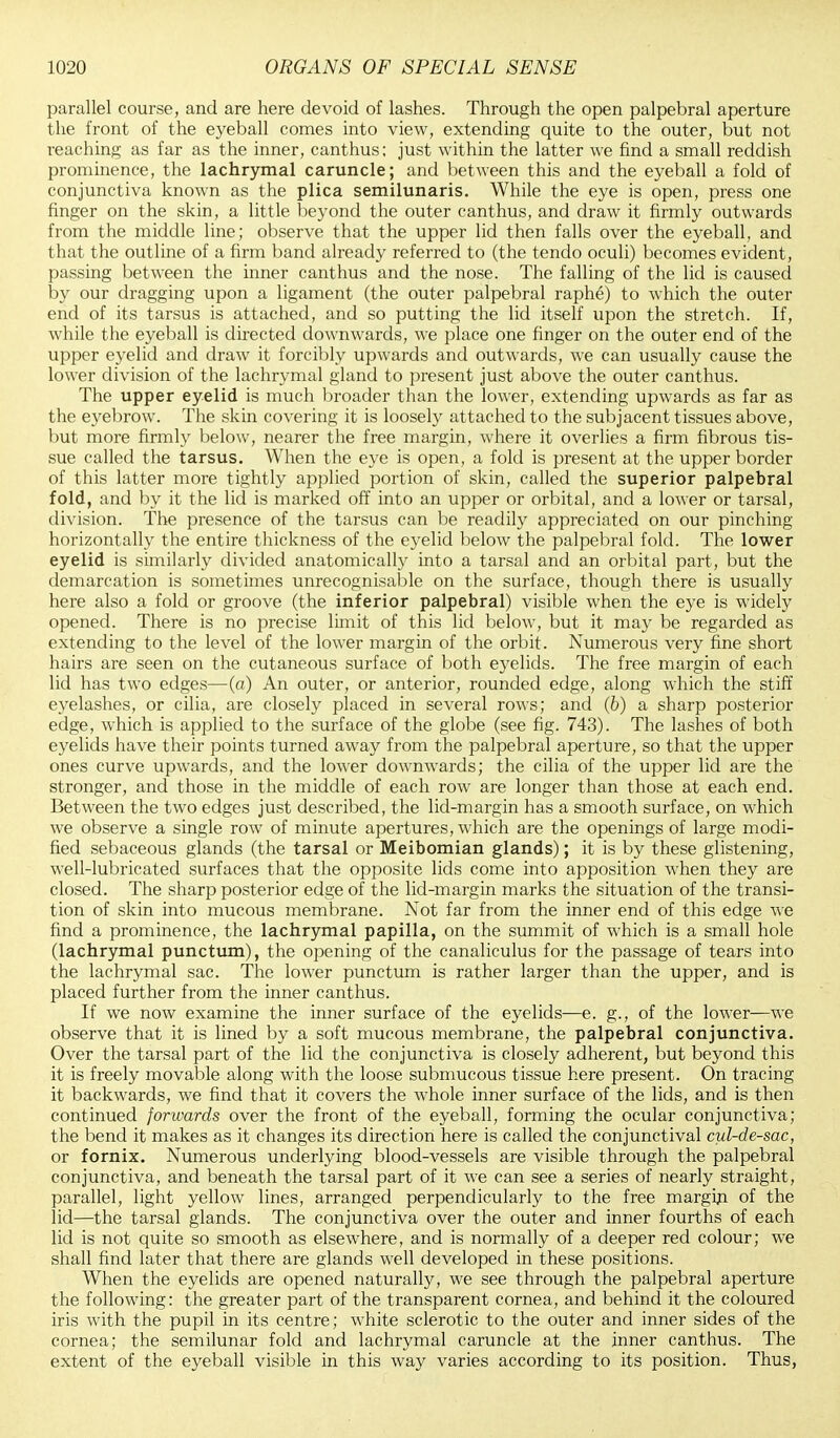 parallel course, and are here devoid of lashes. Through the open palpebral aperture the front of the eyeball comes into view, extending quite to the outer, but not reaching as far as the inner, canthus; just within the latter we find a small reddish prominence, the lachrymal caruncle; and between this and the eyeball a fold of conjunctiva known as the plica semilunaris. While the eye is open, press one finger on the skin, a little beyond the outer canthus, and draw it firmly outwards from the middle line; observe that the upper lid then falls over the eyeball, and that the outline of a firm band already referred to (the tendo oculi) becomes evident, passing between the inner canthus and the nose. The falling of the lid is caused by our dragging upon a ligament (the outer palpebral raphe) to which the outer end of its tarsus is attached, and so putting the lid itself upon the stretch. If, while the eyeball is directed downwards, we place one finger on the outer end of the upper eyelid and draw it forcibly upwards and outwards, we can usually cause the lower division of the lachrymal gland to present just above the outer canthus. The upper eyelid is much broader than the lower, extending upwards as far as the eyebrow. The skin covering it is loosely attached to the subjacent tissues above, but more firmly below, nearer the free margin, where it overlies a firm fibrous tis- sue called the tarsus. When the eye is open, a fold is present at the upper border of this latter more tightly applied portion of skin, called the superior palpebral fold, and by it the lid is marked off into an upper or orbital, and a lower or tarsal, division. The presence of the tarsus can be readily appreciated on our pinching horizontally the entire thickness of the eyelid below the palpebral fold. The lower eyelid is similarly divided anatomically into a tarsal and an orbital part, but the demarcation is sometimes unrecognisable on the surface, though there is usually here also a fold or groove (the inferior palpebral) visible when the eye is widely opened. There is no precise limit of this lid below, but it may be regarded as extending to the level of the lower margin of the orbit. Numerous very fine short hairs are seen on the cutaneous surface of both eyelids. The free margin of each lid has two edges—(a) An outer, or anterior, rounded edge, along which the stiff eyelashes, or cilia, are closely placed in several rows; and (b) a sharp posterior edge, which is applied to the surface of the globe (see fig. 743). The lashes of both eyelids have their points turned away from the palpebral aperture, so that the upper ones curve upwards, and the lower downwards; the cilia of the upper lid are the stronger, and those in the middle of each row are longer than those at each end. Between the two edges just described, the lid-margin has a smooth surface, on which we observe a single row of minute apertures, which are the openings of large modi- fied sebaceous glands (the tarsal or Meibomian glands); it is by these glistening, well-lubricated surfaces that the opposite lids come into apposition when they are closed. The sharp posterior edge of the lid-margin marks the situation of the transi- tion of skin into mucous membrane. Not far from the inner end of this edge we find a prominence, the lachrymal papilla, on the summit of which is a small hole (lachrymal punctum), the opening of the canaliculus for the passage of tears into the lachrymal sac. The lower punctum is rather larger than the upper, and is placed further from the inner canthus. If we now examine the inner surface of the eyelids—e. g., of the lower—we observe that it is lined by a soft mucous membrane, the palpebral conjunctiva. Over the tarsal part of the lid the conjunctiva is closely adherent, but beyond this it is freely movable along with the loose submucous tissue here present. On tracing it backwards, we find that it covers the whole inner surface of the lids, and is then continued forwards over the front of the eyeball, forming the ocular conjunctiva; the bend it makes as it changes its direction here is called the conjunctival cul-de-sac, or fornix. Numerous underlying blood-vessels are visible through the palpebral conjunctiva, and beneath the tarsal part of it we can see a series of nearly straight, parallel, light yellow lines, arranged perpendicularly to the free margin of the lid—the tarsal glands. The conjunctiva over the outer and inner fourths of each lid is not quite so smooth as elsewhere, and is normally of a deeper red colour; we shall find later that there are glands well developed in these positions. When the eyelids are opened naturally, we see through the palpebral aperture the following: the greater part of the transparent cornea, and behind it the coloured iris with the pupil in its centre; white sclerotic to the outer and inner sides of the cornea; the semilunar fold and lachrymal caruncle at the inner canthus. The extent of the eyeball visible in this way varies according to its position. Thus,