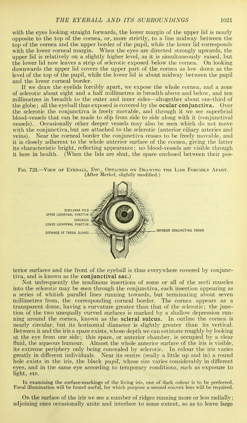 with the eyes looking straight forwards, the lower margin of the upper lid is nearly opposite to the top of the cornea, or, more strictly, to a line midway between the top of the cornea and the upper border of the pupil, while the lower lid corresponds with the lower corneal margin. When the eyes are directed strongly upwards, the upper lid is relatively on a slightly higher level, as it is simultaneously raised, but the lower lid now leaves a strip of sclerotic exposed below the cornea. On looking downwards the upper lid covers the upper part of the cornea as low down as the level of the top of the pupil, while the lower lid is about midway between the pupil and the lower corneal border. If we draw the eyelids forcibly apart, we expose the whole cornea, and a zone of sclerotic about eight and a half millimetres in breadth above and below, and ten millimetres in breadth to the outer and inner sides—altogether about one-third of the globe; all the eyeball thus exposed is covered by the ocular conjunctiva. Over the sclerotic the conjunctiva is freely movable, and through it we see superficial blood-vessels that can be made to slip from side to side along with it (conjunctival vessels). Occasionally other deeper vessels may also be seen which do not move with the conjunctiva, but are attached to the sclerotic (anterior ciliary arteries and veins). Near the corneal border the conjunctiva ceases to be freely movable, and it is closely adherent to the whole anterior surface of the cornea, giving the latter its characteristic bright, reflecting appearance; no blood-vessels are visible through it here in health. (When the lids are shut, the space enclosed between their pos- Fig. 723.—View of Eyeball, Etc., Obtained on Drawing the Lids Forcibly Apart. (After Merkel, slightly modified.) UPPER LACHRYMAL LOWER LACHRYMAL OPENINGS OF TARS/ INFERIOR CONJUNCTIVAL FORNIX terior surfaces and the front of the eyeball is thus everywhere covered by conjunc- tiva, and is known as the conjunctival sac.) Not unfrequently the tendinous insertions of some or all of the recti muscles into the sclerotic may be seen through the conjunctiva, each insertion appearing as a series of whitish parallel lines running towards, but terminating about seven millimetres from, the corresponding corneal border. The cornea appears as a transparent dome, having a curvature greater than that of the sclerotic; the junc- tion of the two unequally curved surfaces is marked by a shallow depression run- ning around the cornea, known as the scleral sulcus. In outline the cornea is nearly circular, but its horizontal diameter is slightly greater than its vertical. Between it and the iris a space exists, whose depth we can estimate roughly by looking at the eye from one side; this space, or anterior chamber, is occupied by a clear fluid, the aqueous humour. Almost the whole anterior surface of the iris is visible, its extreme periphery only being concealed by sclerotic. In colour the iris varies greatly in different individuals. Near its centre (really a little up and in) a round hole exists in the iris, the black pupil, whose size varies considerably in different eyes, and in the same eye according to temporary conditions, such as exposure to light, etc. In examining the surface-markings of the living iris, one of dark colour is to be preferred. Focal illumination will be found useful, for which purpose a second convex lens will be required. On the surface of the iris we see a number of ridges running more or less radially ; adjoining ones occasionally unite and interlace to some extent, so as to leave large