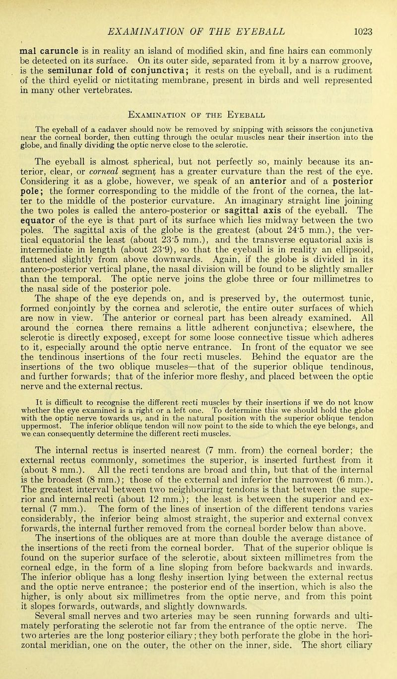 mal caruncle is in reality an island of modified skin, and fine hairs can commonly be detected on its surface. On its outer side, separated from it by a narrow groove, is the semilunar fold of conjunctiva; it rests on the eyeball, and is a rudiment of the third eyelid or nictitating membrane, present in birds and well represented in many other vertebrates. Examination of the Eyeball, The eyeball of a cadaver should now be removed by snipping with scissors the conjunctiva near the corneal border, then cutting through the ocular muscles near their insertion into the globe, and finally dividing the optic nerve close to the sclerotic. The eyeball is almost spherical, but not perfectly so, mainly because its an- terior, clear, or corneal segment has a greater curvature than the rest of the eye. Considering it as a globe, however, we speak of an anterior and of a posterior pole; the former corresponding to the middle of the front of the cornea, the lat- ter to the middle of the posterior curvature. An imaginary straight line joining the two poles is called the antero-posterior or sagittal axis of the eyeball. The equator of the eye is that part of its surface which lies midway between the two poles. The sagittal axis of the globe is the greatest (about 24'5 mm.), the ver- tical equatorial the least (about 235 mm.), and the transverse equatorial axis is intermediate in length (about 239), so that the eyeball is in reality an ellipsoid, flattened slightly from above downwards. Again, if the globe is divided in its antero-posterior vertical plane, the nasal division will be found to be slightly smaller than the temporal. The optic nerve joins the globe three or four millimetres to the nasal side of the posterior pole. The shape of the eye depends on, and is preserved by, the outermost tunic, formed conjointly by the cornea and sclerotic, the entire outer surfaces of which are now in view. The anterior or corneal part has been already examined. All around the cornea there remains a little adherent conjunctiva; elsewhere, the sclerotic is directly exposed, except for some loose connective tissue which adheres to it, especially around the optic nerve entrance. In front of the equator we see the tendinous insertions of the four recti muscles. Behind the equator are the insertions of the two oblique muscles—that of the superior oblique tendinous, and further forwards; that of the inferior more fleshy, and placed between the optic nerve and the external rectus. It is difficult to recognise the different recti muscles by their insertions if we do not know whether the eye examined is a right or a left one. To determine this we should hold the globe with the optic nerve towards us, and in the natural position with the superior oblique tendon uppermost. The inferior oblique tendon will now point to the side to which the eye belongs, and we can consequently determine the different recti muscles. The internal rectus is inserted nearest (7 mm. from) the corneal border; the external rectus commonly, sometimes the superior, is inserted furthest from it (about 8 mm.). All the recti tendons are broad and thin, but that of the internal is the broadest (8 mm.); those of the external and inferior the narrowest (6 mm.). The greatest interval between two neighbouring tendons is that between the supe- rior and internal recti (about 12 mm.); the least is between the superior and ex- ternal (7 mm.). The form of the lines of insertion of the different tendons varies considerably, the inferior being almost straight, the superior and external convex forwards, the internal further removed from the corneal border below than above. The insertions of the obliques are at more than double the average distance of the insertions of the recti from the corneal border. That of the superior oblique is found on the superior surface of the sclerotic, about sixteen millimetres from the corneal edge, in the form of a line sloping from before backwards and inwards. The inferior oblique has a long fleshy insertion lying between the external rectus and the optic nerve entrance; the posterior end of the insertion, which is also the higher, is only about six millimetres from the optic nerve, and from this point it slopes forwards, outwards, and slightly downwards. Several small nerves and two arteries may be seen running forwards and ulti- mately perforating the sclerotic not far from the entrance of the optic nerve. The two arteries are the long posterior ciliary; they both perforate the globe in the hori- zontal meridian, one on the outer, the other on the inner, side. The short ciliary
