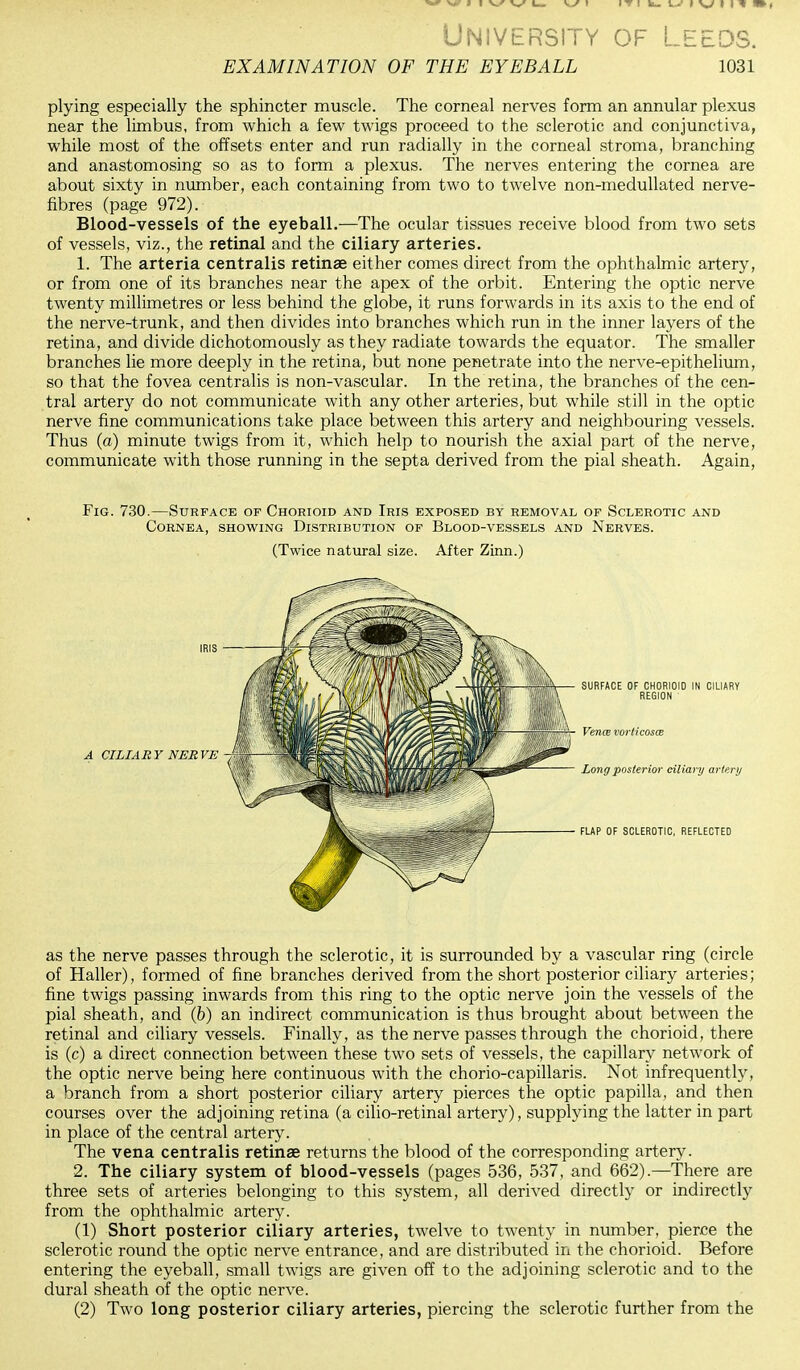 University of Leeds. EXAMINATION OF THE EYEBALL 1031 plying especially the sphincter muscle. The corneal nerves form an annular plexus near the limbus, from which a few twigs proceed to the sclerotic and conjunctiva, while most of the offsets enter and run radially in the corneal stroma, branching and anastomosing so as to form a plexus. The nerves entering the cornea are about sixty in number, each containing from two to twelve non-medullated nerve- fibres (page 972). Blood-vessels of the eyeball.—The ocular tissues receive blood from two sets of vessels, viz., the retinal and the ciliary arteries. 1. The arteria centralis retinae either comes direct from the ophthalmic artery, or from one of its branches near the apex of the orbit. Entering the optic nerve twenty millimetres or less behind the globe, it runs forwards in its axis to the end of the nerve-trunk, and then divides into branches which run in the inner layers of the retina, and divide dichotomously as they radiate towards the equator. The smaller branches lie more deeply in the retina, but none penetrate into the nerve-epithelium, so that the fovea centralis is non-vascular. In the retina, the branches of the cen- tral artery do not communicate with any other arteries, but while still in the optic nerve fine communications take place between this artery and neighbouring vessels. Thus (a) minute twigs from it, which help to nourish the axial part of the nerve, communicate with those running in the septa derived from the pial sheath. Again, Fig. 730.—Surface of Chorioid and Iris exposed by removal of Sclerotic and Cornea, showing Distribution of Blood-vessels and Nerves. (Twice natural size. After Zinn.) SURFACE OF CHORIOID IN CILIARY REGION Vence vorticosce Long posterior ciliary artery FLAP OF SCLEROTIC, REFLECTED as the nerve passes through the sclerotic, it is surrounded by a vascular ring (circle of Haller), formed of fine branches derived from the short posterior ciliary arteries; fine twigs passing inwards from this ring to the optic nerve join the vessels of the pial sheath, and (b) an indirect communication is thus brought about between the retinal and ciliary vessels. Finally, as the nerve passes through the chorioid, there is (c) a direct connection between these two sets of vessels, the capillary network of the optic nerve being here continuous with the chorio-capillaris. Not infrequently, a branch from a short posterior ciliary artery pierces the optic papilla, and then courses over the adjoining retina (a cilio-retinal artery), supplying the latter in part in place of the central artery. The vena centralis retinae returns the blood of the corresponding artery. 2. The ciliary system of blood-vessels (pages 536, 537, and 662).—There are three sets of arteries belonging to this system, all derived directly or indirectly from the ophthalmic artery. (1) Short posterior ciliary arteries, twelve to twenty in number, pierce the sclerotic round the optic nerve entrance, and are distributed in the chorioid. Before entering the eyeball, small twigs are given off to the adjoining sclerotic and to the dural sheath of the optic nerve. (2) Two long posterior ciliary arteries, piercing the sclerotic further from the