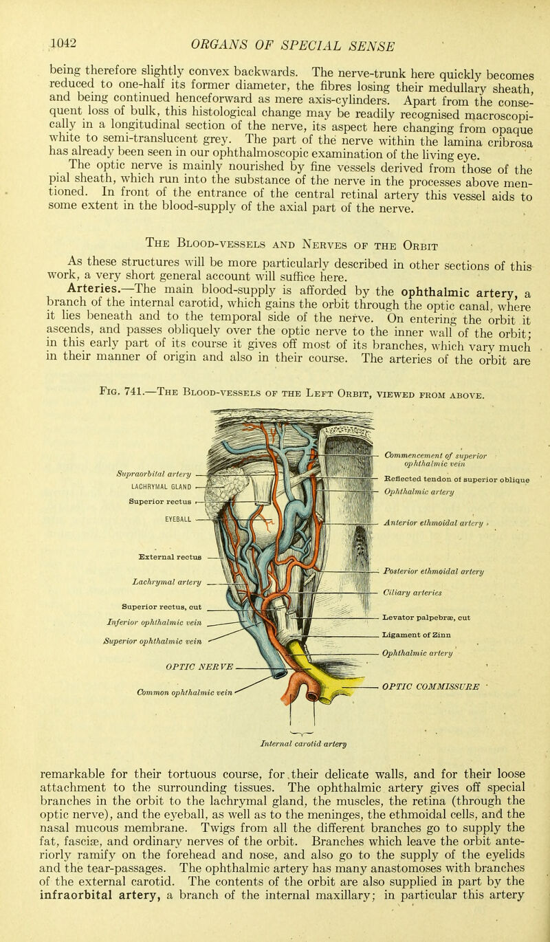 being therefore slightly convex backwards. The nerve-trunk here quickly becomes reduced to one-half its former diameter, the fibres losing their medullary sheath and being continued henceforward as mere axis-cylinders. Apart from the conse- quent loss of bulk, this histological change may be readily recognised macroscopi- cally in a longitudinal section of the nerve, its aspect here changing from opaque white to semi-translucent grey. The part of the nerve within the lamina cribrosa has already been seen in our ophthalmoscopic examination of the living eye. The optic nerve is mainly nourished by fine vessels derived from those of the pial sheath, which run into the substance of the nerve in the processes above men- tioned. In front of the entrance of the central retinal artery this vessel aids to some extent in the blood-supply of the axial part of the nerve. The Blood-vessels and Nerves of the Orbit As these structures will be more particularly described in other sections of this work, a very short general account will suffice here. Arteries.—The main blood-supply is afforded by the ophthalmic artery, a branch of the internal carotid, which gains the orbit through the optic canal, where it lies beneath and to the temporal side of the nerve. On entering the orbit it ascends, and passes obliquely over the optic nerve to the inner wall of the orbit; in this early part of its course it gives off most of its branches, which vary much in their manner of origin and also in their course. The arteries of the orbit are Fig. 741.—The Blood-vessels of the Left Orbit, viewed from above. Supraorbital artery LACHRYMAL GLAND Superior rectus EYEBALL External rectus Lachrymal artery Superior rectus, cut Inferior ophthalmic vein Superior ophthalmic vein OPTIC NEB VE Common ophthalmic vein Commencement of superior ophthalmic vein Reflected tendon of superior oblique Ophthalmic artery |L Anterior ethmoidal artery • Posterior ethmoidal artery Ciliary arteries Levator palpebrae, cut Ligament of Zinn Ophthalmic artery OPTIC COMMISSURE ' Internal carotid artery remarkable for their tortuous course, for. their delicate walls, and for their loose attachment to the surrounding tissues. The ophthalmic artery gives off special branches in the orbit to the lachrymal gland, the muscles, the retina (through the optic nerve), and the eyeball, as well as to the meninges, the ethmoidal cells, and the nasal mucous membrane. Twigs from all the different branches go to supply the fat, fasciae, and ordinary nerves of the orbit. Branches which leave the orbit ante- riorly ramify on the forehead and nose, and also go to the supply of the eyelids and the tear-passages. The ophthalmic artery has many anastomoses with branches of the external carotid. The contents of the orbit are also supplied in part by the infraorbital artery, a branch of the internal maxillary; in particular this artery