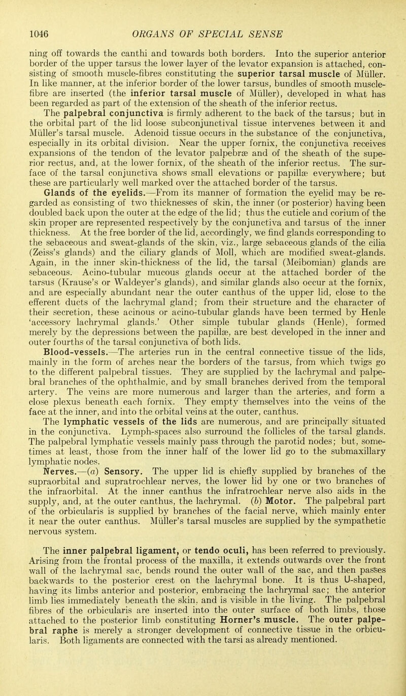 ning off towards the canthi and towards both borders. Into the superior anterior border of the upper tarsus the lower layer of the levator expansion is attached, con- sisting of smooth muscle-fibres constituting the superior tarsal muscle of Miiller. In like manner, at the inferior border of the lower tarsus, bundles of smooth muscle- fibre are inserted (the inferior tarsal muscle of Miiller), developed in what has been regarded as part of the extension of the sheath of the inferior rectus. The palpebral conjunctiva is firmly adherent to the back of the tarsus; but in the orbital part of the lid loose subconjunctival tissue intervenes between it and Miiller's tarsal muscle. Adenoid tissue occurs in the substance of the conjunctiva, especially in its orbital division. Near the upper fornix, the conjunctiva receives expansions of the tendon of the levator palpebrae and of the sheath of the supe- rior rectus, and, at the lower fornix, of the sheath of the inferior rectus. The sur- face of the tarsal conjunctiva shows small elevations or papillae everywhere; but these are particularly well marked over the attached border of the tarsus. Glands of the eyelids.—From its manner of formation the eyelid may be re- garded as consisting of two thicknesses of skin, the inner (or posterior) having been doubled back upon the outer at the edge of the lid; thus the cuticle and corium of the skin proper are represented respectively by the conjunctiva and tarsus of the inner thickness. At the free border of the lid, accordingly, we find glands corresponding to the sebaceous and sweat-glands of the skin, viz., large sebaceous glands of the cilia (Zeiss's glands) and the ciliary glands of Moll, which are modified sweat-glands. Again, in the inner skin-thickness of the lid, the tarsal (Meibomian) glands are sebaceous. Acino-tubular mucous glands occur at the attached border of the tarsus (Krause's or Waldeyer's glands), and similar glands also occur at the fornix, and are especially abundant near the outer canthus of the upper lid, close to the efferent ducts of the lachrymal gland; from their structure and the character of their secretion, these acinous or acino-tubular glands have been termed by Henle 'accessory lachrymal glands.' Other simple tubular glands (Henle), formed merely by the depressions between the papillae, are best developed in the inner and outer fourths of the tarsal conjunctiva of both lids. Blood-vessels.—The arteries run in the central connective tissue of the lids, mainly in the form of arches near the borders of the tarsus, from which twigs go to the different palpebral tissues. They are supplied by the lachrymal and palpe- bral branches of the ophthalmic, and by small branches derived from the temporal artery. The veins are more numerous and larger than the arteries, and form a close plexus beneath each fornix. They empty themselves into the veins of the face at the inner, and into the orbital veins at the outer, canthus. The lymphatic vessels of the lids are numerous, and are principally situated in the conjunctiva. Lymph-spaces also surround the follicles of the tarsal glands. The palpebral lymphatic vessels mainly pass through the parotid nodes; but, some- times at least, those from the inner half of the lower lid go to the submaxillary lymphatic nodes. Nerves.—(a) Sensory. The upper lid is chiefly supplied by branches of the supraorbital and supratrochlear nerves, the lower lid by one or two branches of the infraorbital. At the inner canthus the infratrochlear nerve also aids in the supply, and, at the outer canthus, the lachrymal. (6) Motor. The palpebral part of the orbicularis is supplied by branches of the facial nerve, which mainly enter it near the outer canthus. Miiller's tarsal muscles are supplied by the sympathetic nervous system. The inner palpebral ligament, or tendo oculi, has been referred to previously. Arising from the frontal process of the maxilla, it extends outwards over the front wall of the lachrymal sac, bends round the outer wall of the sac, and then passes backwards to the posterior crest on the lachrymal bone. It is thus U-shaped, having its limbs anterior and posterior, embracing the lachrymal sac; the anterior limb lies immediately beneath the skin, and is visible in the living. The palpebral fibres of the orbicularis are inserted into the outer surface of both limbs, those attached to the posterior limb constituting Horner's muscle. The outer palpe- bral raphe is merely a stronger development of connective tissue in the orbicu- laris. Both ligaments are connected with the tarsi as already mentioned.