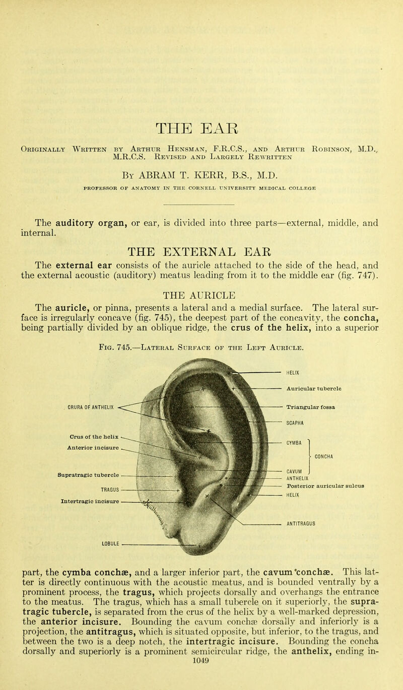 THE EAR Originally Written by Arthur Hensman, F.R.C.S., and Arthur Robinson, M.D., M.R.C.S. Revised and Largely Rewritten By ABRAM T. KERR, B.S., M.D. PROFESSOR OF ANATOMY IN THE CORNELL UNIVERSITY MEDICAL COLLEGE The auditory organ, or ear, is divided into three parts—external, middle, and internal. THE EXTERNAL EAR The external ear consists of the auricle attached to the side of the head, and the external acoustic (auditory) meatus leading from it to the middle ear (fig. 747). THE AURICLE The auricle, or pinna, presents a lateral and a medial surface. The lateral sur- face is irregularly concave (fig. 745), the deepest part of the concavity, the concha, being partially divided by an oblique ridge, the crus of the helix, into a superior Fig. 745.—Lateral Surface of the Left Auricle. part, the cymba conchae, and a larger inferior part, the cavum'conchaa. This lat- ter is directly continuous with the acoustic meatus, and is bounded ventrally by a prominent process, the tragus, which projects dorsally and overhangs the entrance to the meatus. The tragus, which has a small tubercle on it superiorly, the supra- tragic tubercle, is separated from the crus of the helix by a well-marked depression, the anterior incisure. Bounding the cavum concha? dorsally and inferiorly is a projection, the antitragus, which is situated opposite, but inferior, to the tragus, and between the two is a deep notch, the intertragic incisure. Bounding the concha dorsally and superiorly is a prominent semicircular ridge, the anthelix, ending in-