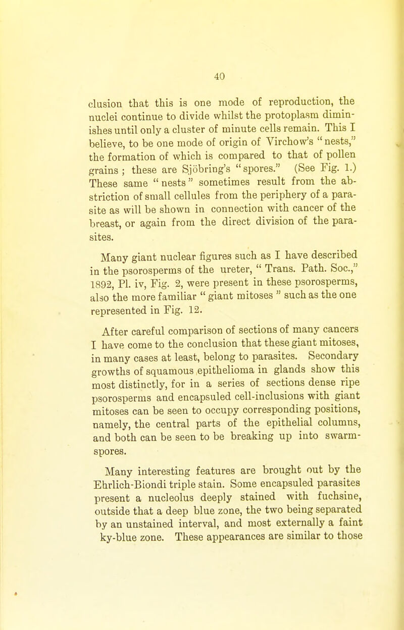 elusion that this is one mode of reproduction, the nuclei continue to divide whilst the protoplasm dimin- ishes until only a cluster of minute cells remain. This I believe, to be one mode of origin of Virchovs^s  nests, the formation of which is compared to that of pollen grains ; these are Sjobring's spores. (See Fig. 1.) These same  nests sometimes result from the ab- striction of small cellules from the periphery of a para- site as will be shown in connection with cancer of the breast, or again from the direct division of the para- sites. Many giant nuclear figures such as I have described in the psorosperms of the ureter,  Trans. Path. Soc, 1892, Pi. iv, Fig. 2, were present in these psorosperms, also the more familiar  giant mitoses  such as the one represented in Fig. 12. After careful comparison of sections of many cancers I have come to the conclusion that these giant mitoses, in many cases at least, belong to parasites. Secondary growths of squamous epithelioma in glands show this most distinctly, for in a series of sections dense ripe psorosperms and encapsuled cell-inclusions with giant mitoses can be seen to occupy corresponding positions, namely, the central parts of the epithelial columns, and both can be seen to be breaking up into swarm- spores. Many interesting features are brought out by the Ehrlich-Biondi triple stain. Some encapsuled parasites present a nucleolus deeply stained with fuchsine, outside that a deep blue zone, the two being separated by an unstained interval, and most externally a faint ky-blue zone. These appearances are similar to those