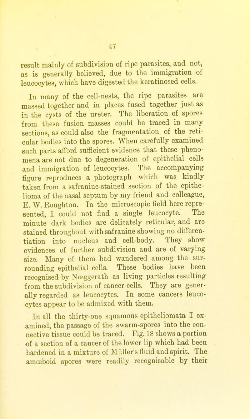 result mainly of subdivision of ripe parasites, and not, as is generally believed, due to the immigration of leucocytes, which have digested the keratinosed cells. In many of the cell-nests, the ripe parasites are massed together and in places fused together just as in the cysts of the ureter. The liberation of spores from these fusion masses could be traced in many sections, as could also the fragmentation of the reti- calar bodies into the spores. When carefully examined such parts afford sufficient evidence that these pheno- mena are not due to degeneration of epithelial cells and immigration of leucocytes. The accompanying figure reproduces a photograph which was kindly taken from a safranine-stained section of the epithe- lioma of the nasal septum by my friend and colleague, E. W. Roughton. In the microscopic field here repre- sented, I could not find a single leucocyte. The minute dark bodies are delicately reticular, and are stained throughout with safranine showing no differen- tiation into nucleus and cell-body. They show evidences of further subdivision and are of varying size. Many of them had wandered among the sur- rounding epithelial cells. These bodies have been recognised by Noeggerath as living particles resulting from the subdivision of cancer-cells. They are gener- ally regarded as leucocytes. In some cancers leuco- cytes appear to be admixed with them. In all the thirty-one squamous epitheliomata I ex- amined, the passage of the swarm-spores into the con- nective tissue could be traced. Fig. 18 shows a portion of a section of a cancer of the lower lip which had been hardened in a mixture of Miiller's fluid and spirit. The amoeboid spores were readily recognisable by their