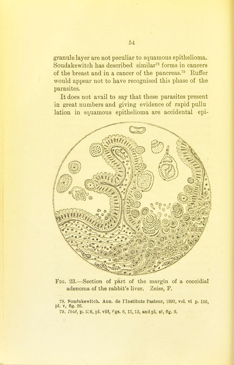 granule layer are not peculiar to squamous epithelioma. Soudakewitch has described similar'® forms in cancers of the breast and in a cancer of the pancreas.™ Rufifer would appear not to have recognised this phase of the parasites. It does not avail to say that these parasites present in great numbers and giving evidence of rapid puUu lation in squamous epithelioma are accidental epi- FiG. 23.—Section of part of the margin of a coccidial adenoma of the rabbit's liver, Zeiss, F. 78. Soudakewitch. Ann. de I'lnstltute Pasteur, 1892, vol. vl p. 156, pi. V, flg. 26. 79. Ibid, p. 5:6, pi. viil, fgs. 6,11,13, andpL xi, flg. 9.
