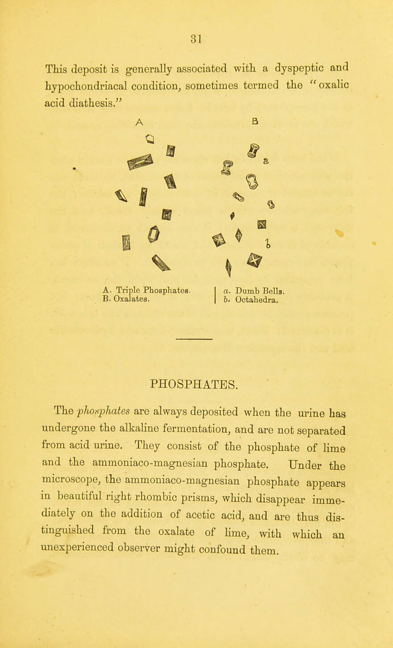 This deposit is generally associated with a dyspeptic and hypochondriacal condition, sometimes termed the oxalic acid diathesis. A B a ft A. Triple Phosphates. I a. Dumb Bells. B. Oxalates. | 6. Octahedra. PHOSPHATES. The phofiphates are always deposited when the urine has undergone the alkahne fermentation, and are not separated from acid urine. They consist of the phosphate of lime and the ammoniaco-magnesian phosphate. Under the microscope, the ammoniaco-magnesian phosphate appears in beautiful right rhombic prisms, which disappear imme- diately on the addition of acetic acid, and are thus dis- tinguished from the oxalate of Ume, with which an unexperienced observer might confound them.