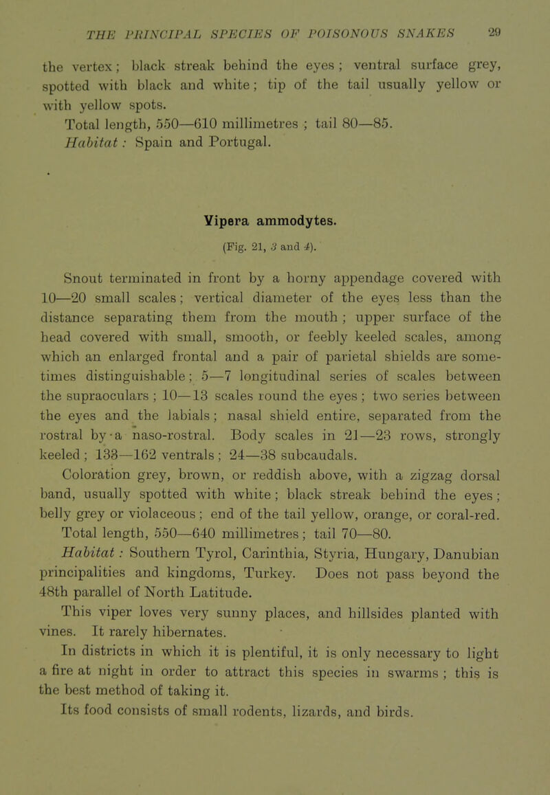 the vertex; black streak behind the eyes ; ventral surface grey, spotted with black and white; tip of the tail usually yellow or with yellow spots. Total length, 550—610 millimetres ; tail 80—85. Habitat: Spain and Portugal. Yipera ammodytes. (Fig. 21, 3 and 4). Snout terminated in front by a horny appendage covered with 10—20 small scales; vertical diameter of the eyes less than the distance separating them from the mouth ; upper surface of the head covered with small, smooth, or feebly keeled scales, among which an enlarged frontal and a pair of parietal shields are some- times distinguishable; 5—7 longitudinal series of scales between the supraoculars ; 10—13 scales round the eyes ; two series between the eyes and the labials; nasal shield entire, separated from the rostral by-a naso-rostral. Body scales in 21—23 rows, strongly keeled ; 133—162 ventrals ; 24—38 subcaudals. Coloration grey, brown, or reddish above, with a zigzag dorsal band, usually spotted with white; black streak behind the eyes; belly grey or violaceous; end of the tail yellow, orange, or coral-red. Total length, 550—640 millimetres; tail 70—80. Habitat: Southern Tyrol, Carinthia, Styria, Hungary, Danubian principalities and kingdoms, Turkey. Does not pass beyond the 48th parallel of North Latitude. This viper loves very sunny places, and hillsides planted with vines. It rarely hibernates. In districts in which it is plentiful, it is only necessary to light a fire at night in order to attract this species in swarms ; this is the best method of taking it. Its food consists of small rodents, lizards, and birds.