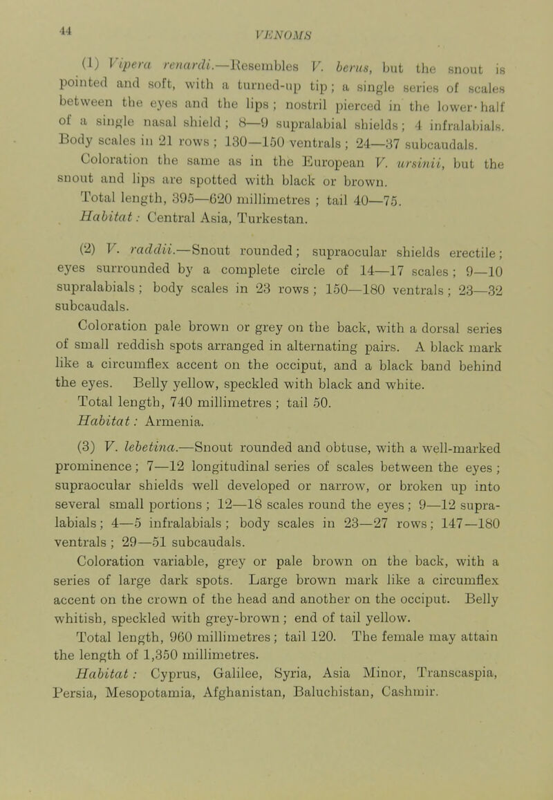 (1) Vipera renarcU.—lleseinUes V. benis, but the snout is pointed and soft, with a turned-np tip; a single series of scales between the eyes and the lips; nostril pierced in the lower-half of a single nasal shield ; 8—9 supralabial shields; 4 infralabials. Body scales in 21 rows ; 130—150 ventrals ; 24—87 subcaudals. Coloration the same as in the European V. ursinii, but the snout and lips are spotted with black or brown. Total length, 395—620 millimetres ; tail 40—75. ifaiita^.- Central Asia, Turkestan. (2) V. raddii.—Snout rounded; supraocular shields erectile; eyes surrounded by a complete circle of 14—17 scales; 9—10 supralabials ; body scales in 23 rows ; 150—180 ventrals; 23—32 subcaudals. Coloration pale brown or grey on the back, with a dorsal series of small reddish spots arranged in alternating pairs. A black mark like a circumflex accent on the occiput, and a black band behind the eyes. Belly yellow, speckled with black and white. Total length, 740 millimetres ; tail 50. Habitat: Armenia. (3) V. lehetina.—Snout rounded and obtuse, with a well-marked prominence; 7—12 longitudinal series of scales between the eyes ; supraocular shields well developed or narrow, or broken up into several small portions ; 12—18 scales round the eyes ; 9—12 supra- labials ; 4—5 infralabials; body scales in 23—27 rows; 147—180 ventrals ; 29—51 subcaudals. Coloration variable, grey or pale brown on the back, with a series of large dark spots. Large brown mark like a circumflex accent on the crown of the head and another on the occiput. Belly whitish, speckled with grey-brown; end of tail yellow. Total length, 960 millimetres; tail 120. The female may attain the length of 1,350 millimetres. Habitat : Cyprus, Galilee, Syria, Asia Minor, Transcaspia, Persia, Mesopotamia, Afghanistan, Baluchistan, Cashmir.