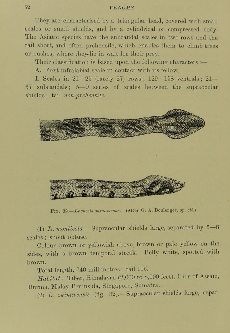 They are characterised by a triangular head, covered with small scales or small shields, and by a cylindrical or compressed body. The Asiatic species have the subcaudal scales in two rows and the tail short, and often prehensile, which enables them to clunb trees or bushes, where they* lie in wait for their prey. Their classification is based upon the followmg characters :— A. First infralabial scale in contact with its fellow. I. Scales in 21—25 (rarely 27) rows ; 129—158 ventrals ; 21— 57 subcaudals; 5—9 series of scales between the supraocular shields; tail non■'prehensile. Fig. 32.—Lachesis okinavensis. (After G. A. Boulenger, op. cit.) (1) L. ??!07i^*co^£)!.—Supraocular shields large, separated by 5—8 scales ; snout obtuse. Colour brown or yellowish above, brown or pale yellow on the sides, with a brown temporal streak. Belly white, spotted with brown. Total length, 740 millimetres; tail 115. Habitat: Tibet, Himalayns (2,000 to 8,000 feet), Hills of Assam, Burma, Malay Peninsula, Singapore, Sumatra. (2) L. okinavensis (fig. 82;.—Supraocular shields large, separ-