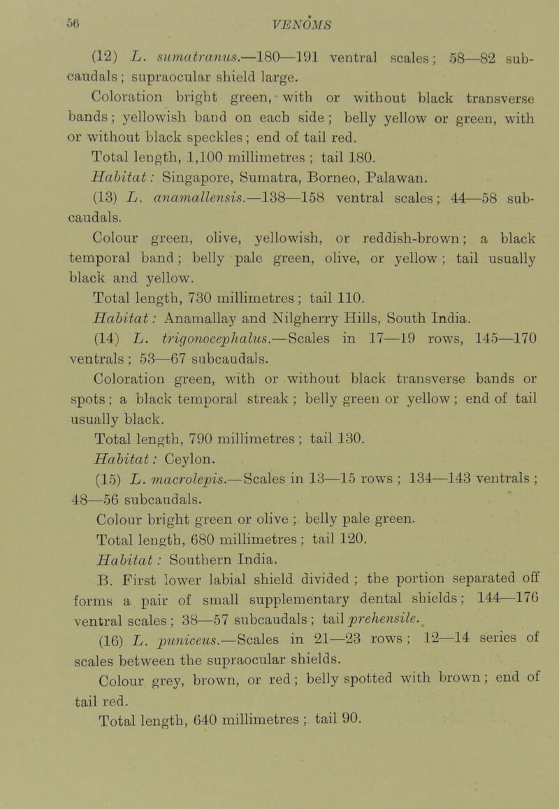 (12) L. samatranus.—180—191 ventral scales; 58—82 sub- caudals ; supraocular shield large. Coloration bright green, with or without black transverse bands; j^ellowish band on each side; belly yellow or green, with or without black speckles; end of tail red. Total length, 1,100 millimetres ; tail 180. Habitat: Singapore, Sumatra, Borneo, Palawan. (13) L. anamallensis.—138—158 ventral scales; 44—58 sub- caudals. Colour green, olive, yellowish, or reddish-brown; a black temporal band; belly pale green, olive, or yellow; tail usually black and yellow. Total length, 730 millimetres; tail 110. Habitat: Anamallay and Nilgherry Hills, South India. (14) L. trigonoceplialus.—Scales in 17—19 rows, 145—170 ventrals ; 53—67 subcaudals. Coloration green, with or without black transverse bands or spots; a black temporal streak ; belly green or yellow; end of tail usually black. Total length, 790 millimetres ; tail 130. Habitat: Ceylon. (15) L, macrolepis.—Scales in 13-—15 rows ; 134—143 ventrals ; 48—56 subcaudals. Colour bright green or olive ; belly pale green. Total length, 680 miUimetres ; tail 120. Habitat: Southern India. B. First lower labial shield divided ; the portion separated off forms a pair of small supplementary dental shields; 144—176 ventral scales ; 38—57 subcaudals ; id.\\ prehensile. (16) L. puniceus.—Scales in 21—23 rows; 12—14 series of scales between the supraocular shields. Colour grey, brown, or red; belly spotted with brown; end of tail red. Total length, 640 millimetres ; tail 90.