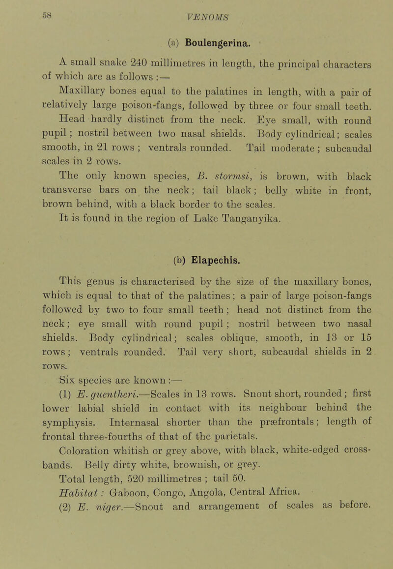 (a) Boulengerina. A small snake 240 millimetres in length, the principal characters of which are as follows : — Maxillary bones equal to the palatines in length, with a pair of relatively large poison-fangs, followed by three or four small teeth. Head hardly distinct from the neck. Eye small, with round pupil; nostril between two nasal shields. Body cylindrical; scales smooth, in 21 rows ; ventrals rounded. Tail moderate ; subcaudal scales in 2 rows. The only known species, B. stormsi, is brown, with black transverse bars on the neck; tail black; belly white in front, brown behind, with a black border to the scales. It is found m the region of Lake Tanganyika. (b) Elapechis. This genus is characterised by the size of the maxillary bones, which is equal to that of the palatines; a pair of large poison-fangs followed by two to four small teeth ; head not distinct from the neck; eye small with round pupil ; nostril between two nasal shields. Body cylindrical; scales oblique, smooth, in J3 or 15 rows ; ventrals rounded. Tail very short, subcaudal shields in 2 rows. Six species are known :— (1) E. guentlieri.—Scales in 13 rows. Snout short, rounded ; first lower labial shield in contact with its neighbour behind the symphysis. Internasal shorter than the praefrontals; length of frontal three-fourths of that of the parietals. Coloration whitish or grey above, with black, white-edged cross- bands. Belly dirty white, brownish, or grey. Total length, 520 millimetres ; tail 50. Habitat: Gaboon, Congo, Angola, Central Africa. (2) E. m>er.—Snout and arrangement of scales as before.