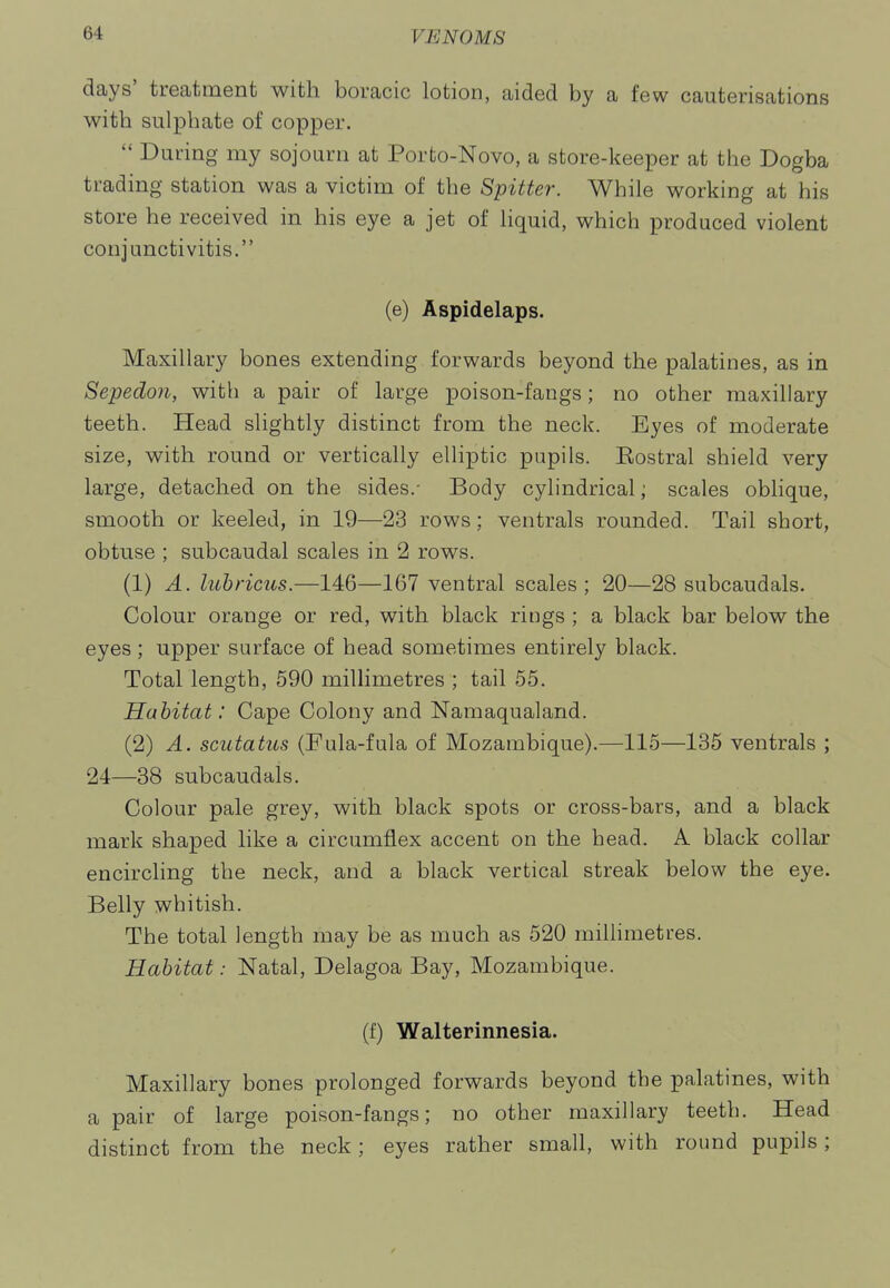 days' treatment with boracic lotion, aided by a few cauterisations with sulphate of copper.  During my sojourn at Porto-Novo, a store-keeper at the Dogba trading station was a victim of the Spitter. While working at his store he received in his eye a jet of liquid, which produced violent conjunctivitis. (e) Aspidelaps. Maxillary bones extending forwards beyond the palatines, as in Sepedon, with a pair of large poison-fangs; no other maxillary teeth. Head slightly distinct from the neck. Eyes of moderate size, with round or vertically elliptic pupils. Eostral shield very large, detached on the sides.- Body cylindrical; scales oblique, smooth or keeled, in 19—23 rows; ventrals rounded. Tail short, obtuse ; subcaudal scales in 2 rows. (1) A. luhricus.—146—167 ventral scales; 20—28 subcaudals. Colour orange or red, with black rings ; a black bar below the eyes ; upper surface of head sometimes entirely black. Total length, 590 millimetres ; tail 55. Habitat: Cape Colony and Namaqualand. (2) A. scutatus (Fula-fula of Mozambique).—115—135 ventrals ; 24—38 subcaudals. Colour pale grey, with black spots or cross-bars, and a black mark shaped like a circumflex accent on the head. A black collar encircling the neck, and a black vertical streak below the eye. Belly whitish. The total length may be as much as 520 millimetres. Habitat: Natal, Delagoa Bay, Mozambique. (f) Walterinnesia. Maxillary bones prolonged forwards beyond the palatines, with a pair of large poison-fangs; no other maxillary teeth. Head distinct from the neck; eyes rather small, with round pupils;