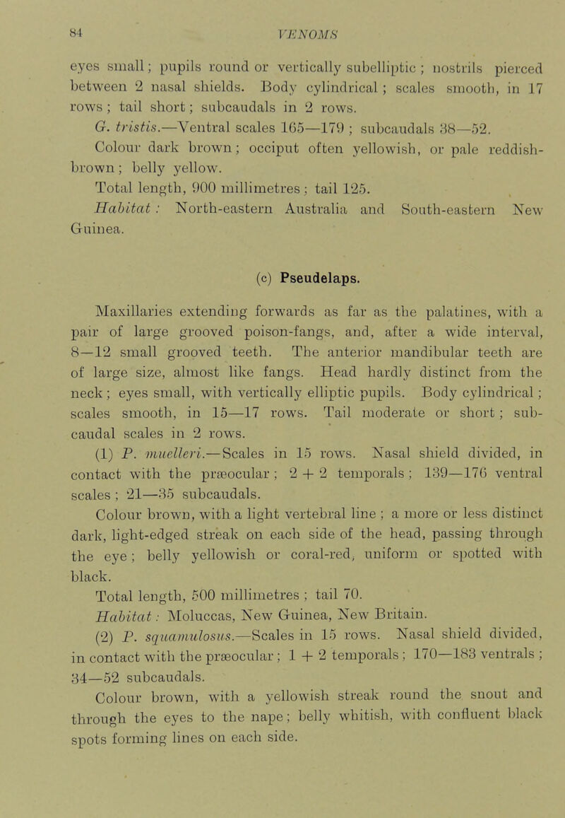 eyes small; pupils round or vertically subelliptic ; nostrils pierced between 2 nasal shields. Body cylindrical; scales smooth, in 17 rows ; tail short; siibcaudals in 2 rows. G. tristis.—Ventral scales 1G5—179 ; subcaudals 88—52. Colour dark brown; occiput often yellowish, or pale reddish- brown ; belly yellow. Total length, 900 millimetres; tail 125. Habitat : North-eastern Australia and South-eastern New Guinea. (c) Pseudelaps. Maxillaries extending forwards as far as the palatines, with a pair of large grooved poison-fangs, and, after a wide interval, 8—12 small grooved teeth. The anterior mandibular teeth are of large size, almost like fangs. Head hardly distinct from the neck ; eyes small, with vertically elliptic pupils. Body cylindrical; scales smooth, in 15—17 rows. Tail moderate or short; sub- caudal scales in 2 rows. (1) P. muelleri.—Scales in 15 rows. Nasal shield divided, in contact with the prseocular ; 2-1-2 temporals ; 139—176 ventral scales ; 21—85 subcaudals. Colour brown, with a light vertebral line ; a more or less distinct dark, hght-edged streak on each side of the head, passing through the eye; belly yellowish or coral-red^ uniform or spotted with black. Total length, 500 millimetres ; tail 70. Habitat: Moluccas, New Guinea, New Britain. (2) P. squamulosus.—^coXeB in 15 rows. Nasal shield divided, in contact with the prseocular; 1 -h 2 temporals ; 170—183 ventrals ; 84—52 subcaudals. Colour brown, with a yellowish streak round the snout and through the eyes to the nape; belly whitish, with confluent black spots forming hnes on each side.