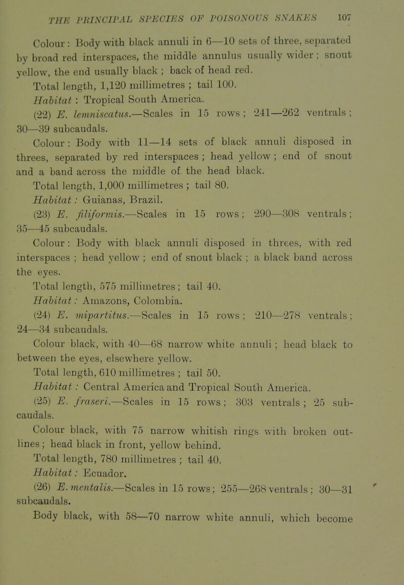 Colour : Body with black animli in G—10 sets of three, separated by broad red interspaces, the middle annulus usually wider; snout yellow, the end usually black ; back of head red. Total length, 1,120 millimetres ; tail 100. Habitat : Tropical South America. (22) E. lemniscatns.—Scabies in 15 rows ; 241—262 ventrals ; 30—39 subcaudals. Colour : Body with 11—14 sets of black annuli disposed in threes, separated by red interspaces ; head yellow ; end of snout and a band across the middle of the head black. Total length, 1,000 millimetres ; tail 80. Habitat: Guianas, Brazil. (23) E. filiformis.—Scales in 15 rows ; 290—308 ventrals; 35—45 subcaudals. Colour : Body with black annuli disposed in threes, with red interspaces ; head yellow ; end of snout black ; a black band across the eyes. Total length, 575 millimetres; tail 40. Habitat: Amazons, Colombia. (24) E. mipartitiLs.—Scales in 15 rows ; 210—278 ventrals; 24—34 subcaudals. Colour black, with 40—68 narrow white annuli ; head black to between the eyes, elsewhere yellow. Total length, 610 miUimetres ; tail 50. Habitat: Central America and Tropical South America. (25) E. fraseri.—Scales in 15 rows ; 303 ventrals ; 25 sub- caudals. Colour black, with 75 narrow whitish rings with broken out- lines ; head black in front, yellow behind. Total length, 780 millimetres ; tail 40. Habitat: Ecuador. (26) E.mentalis—Sc'd\es in 15 rows; 255—268 ventrals ; 30—31 subcaudals. Body black, with 58—70 narrow white annuli, which become