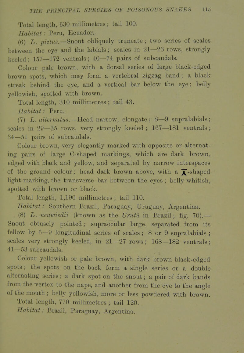 Total length, 630 millimetres ; tail 100. Habitat: Peru, Ecuador. (6) L. pictus.—Snout obliquely truncate ; two series of scales between the eye and the labials; scales in '21—23 rows, strongly keeled; 157—172 ventrals ; 40—74 pairs of subcaudals. Colour pale brown, with a dorsal series of large black-edged brown spots, which may form a vertebral zigzag band ; a black streak behind the eye, and a vertical bar below the eye; belly yellowish, spotted with brown. Total length, 310 millimetres ; tail 43. Habitat: Peru. (7) L. alternatus.—Head narrow, elongate ; 8—9 supralabials ; scales in 29—35 rows, very strongly keeled ; 167—181 ventrals ; o4—51 pairs of subcaudals. Colour brown, very elegantly marked with opposite or alternat- ing pairs of large C-shaped markings, which are dark brown, edged with black and yellow, and separated by narrow interspaces of the ground colour; head dark brown above, with a j^-shaped light marking, the transverse bar between the eyes ; belly whitish, spotted with brown or black. Total length, 1,190 miUimetres ; tail 110. Habitat: Southern Brazil, Paraguay, Uruguay, Argentina. . (8) L. nemviedii (known as the XJrutii in Brazil; fig. 70).— Snout obtusely pointed; supraocular large, separated from its fellow by 6—9 longitudinal series of scales ; 8 or 9 supralabials ; scales very strongly keeled, in 21—27 rows; 168—182 ventrals; 41—53 subcaudals. Colour yellowish or pale brown, with dark brown black-edged spots ; the spots on the back form a single series or a double alternating series ; a dark spot on the snout; a pair of dark bands from the -vertex to the nape, and another from the eye to the angle of the mouth ; belly yellowish, more or less powdered with brown. Total length, 770 millimetres ; tail 120. Habitat: Brazil, Paraguay, Argentina.