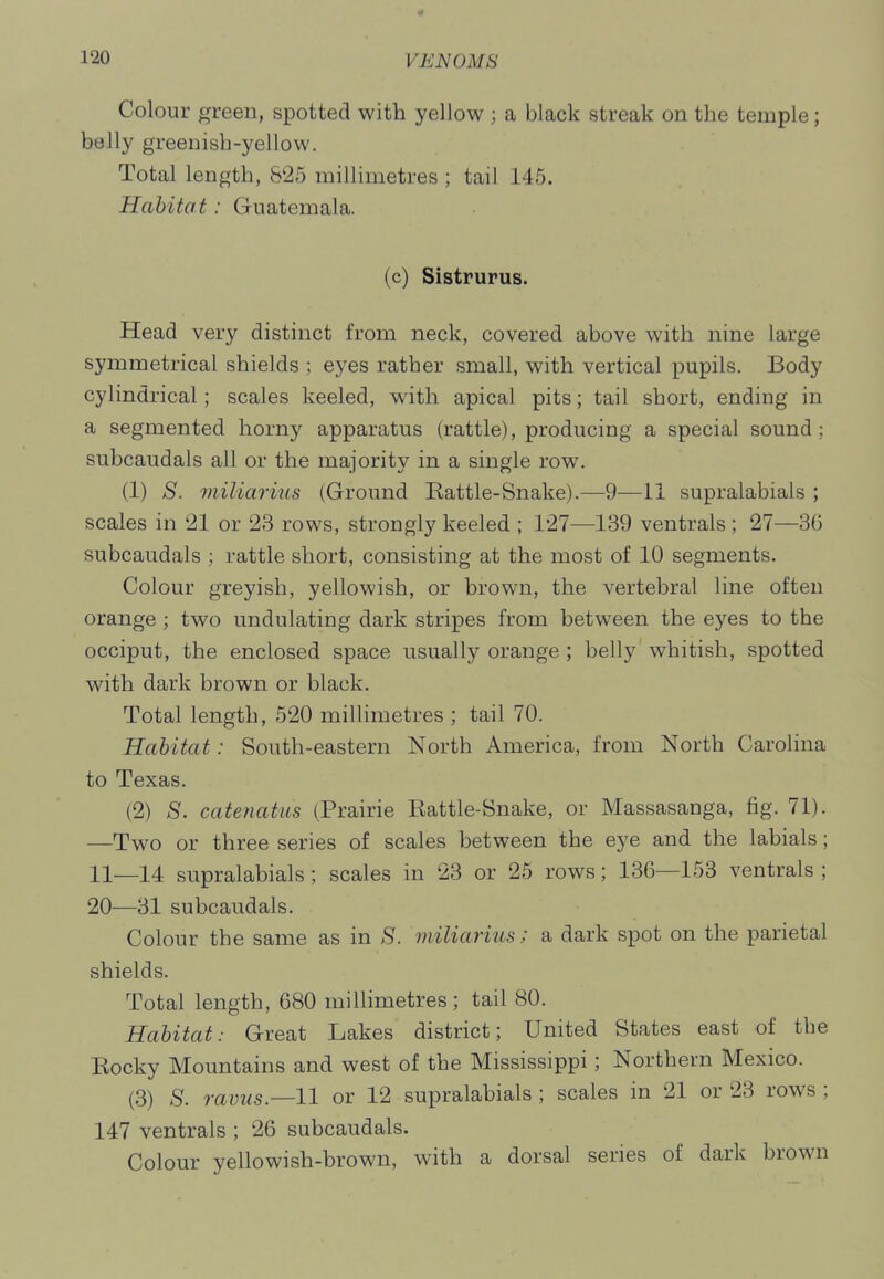 Colour green, spotted with yellow ; a black streak on the temple; belly greenish-yellow. Total length, &'25 millimetres ; tail 145. Habitat: Guatemala. (c) Sistrurus. Head very distinct from neck, covered above with nine large symmetrical shields ; eyes rather small, with vertical pupils. Body cylindrical; scales keeled, with apical pits; tail short, ending in a segmented horny apparatus (rattle), producing a special sound; subcaudals all or the majority in a single row. (1) S. miliarius (Ground Kattle-Snake).—9—11 supralabials ; scales in 21 or 23 rows, strongly keeled ; 127—139 ventrals ; 27—3G subcaudals ; rattle short, consisting at the most of 10 segments. Colour greyish, yellowish, or brown, the vertebral line often orange ; two undulating dark stripes from between the eyes to the occiput, the enclosed space usually orange ; belly whitish, spotted with dark brown or black. Total length, 520 millimetres ; tail 70. Habitat: South-eastern North America, from North Carolina to Texas. (2) S. catenatus (Prairie Rattle-Snake, or Massasanga, fig. 71). —Two or three series of scales between the eye and the labials; 11—14 supralabials ; scales in 23 or 25 rows; 136—153 ventrals ; 20—31 subcaudals. Colour the same as in S. miliarius; a dark spot on the parietal shields. Total length, 680 millimetres ; tail 80. Habitat: Great Lakes district; United States east of the Rocky Mountains and west of the Mississippi; Northern Mexico. (3) S. ravus—11 or 12 supralabials ; scales in 21 or 23 rows ; 147 ventrals ; 26 subcaudals. Colour yellowish-brown, with a dorsal series of dark brown