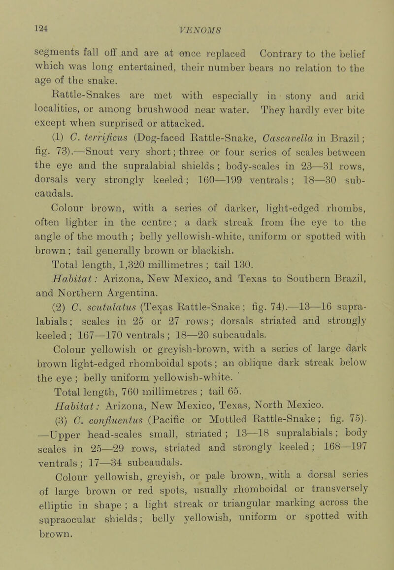 segments fall off and are at once replaced Contrary to the belief which was long entertained, their number bears no relation to the age of the snake. Eattle-Snakes are met with especially in stony and arid localities, or among brushwood near water. They hardly ever bite except when surprised or attacked. (1) C. terrificus (Dog-faced Eattle-Snake, Cascavella in Brazil; fig. 73).—Snout very short; three or four series of scales between the eye and the supralabial shields ; body-scales in 23—31 rows, dorsals very strongly keeled; 160—199 ventrals ; 18—30 sub- caudals. Colour brown, with a series of darker, light-edged rhombs, often lighter in the centre; a dark streak from the eye to the angle of the mouth ; belly yellowish-white, uniform or spotted with brown ; tail generally brown or blackish. Total length, 1,320 millimetres ; tail 130. Habitat: Arizona, New Mexico, and Texas to Southern Brazil, and Northern Argentina. (2) C scw^MZa^2^s (Texas Eattle-Snake; fig. 74).—13—16 supra- labials; scales in 25 or 27 rows; dorsals striated and strongly keeled; 167—170 ventrals ; 18—20 subcaudals. Colour yellowish or greyish-brown, with a series of large dark brown light-edged rhomboidal spots; an oblique dark streak below the eye ; belly uniform yellowish-white. Total length, 760 millimetres ; tail 65. Habitat: Arizona, New Mexico, Texas, North Mexico. (3) C. confluentus (Pacific or Mottled Eattle-Snake; fig. 75). —Upper head-scales small, striated; 13—18 supralabials; body scales in 25—29 rows, striated and strongly keeled; 168—197 ventrals ; 17—34 subcaudals. Colour yellowish, greyish, or pale brown, with a dorsal series of large brown or red spots, usually rhomboidal or transversely elliptic in shape ; a light streak or triangular marking across the supraocular shields; belly yellowish, uniform or spotted with brown.