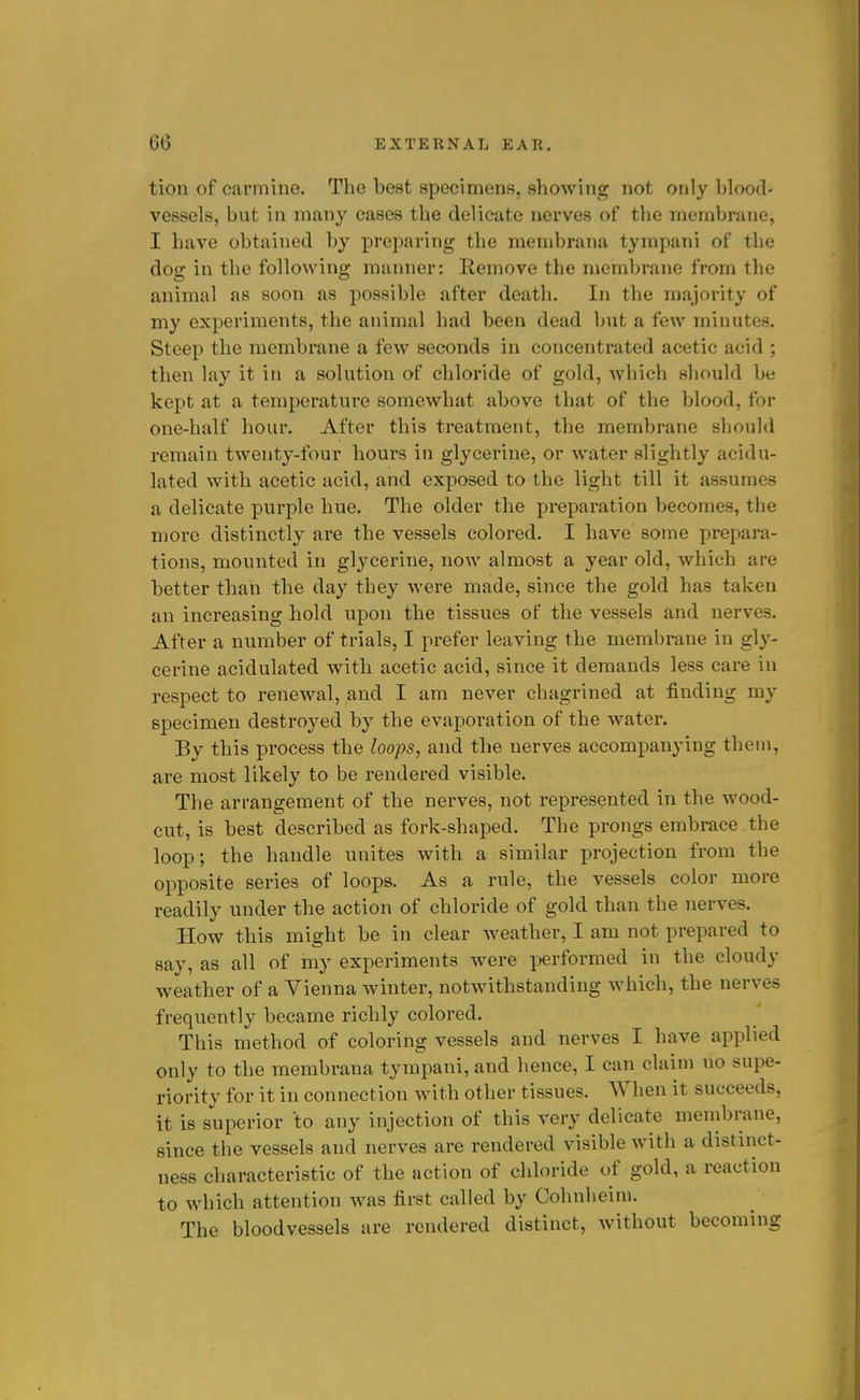 tion of carmine. The best specimens, showing not only blood- vessels, but in many cases the delicate nerves of the membrane, I have obtained by preparing the membrana tympani of the dog in the following manner: Remove the membrane from the animal as soon as possible after death. In the majority of my experiments, the animal had been dead but a few minutes. Steep the membrane a few seconds in concentrated acetic acid ; then lay it in a solution of chloride of gold, which should be kept at a temperature somewhat above that of the blood, for one-half hour. After this treatment, the membrane should remain twenty-four hours in glycerine, or water slightly acidu- lated with acetic acid, and exposed to the light till it assumes a delicate purple hue. The older the preparation becomes, the more distinctly are the vessels colored. I have some prepara- tions, mounted in glycerine, now almost a year old, which are better than the day they were made, since the gold has taken an increasing hold upon the tissues of the vessels and nerves. After a number of trials, I prefer leaving the membrane in gly- cerine acidulated with acetic acid, since it demands less care in respect to renewal, and I am never chagrined at finding my specimen destroyed by the evaporation of the water. By this process the loops, and the nerves accompanying them, are most likely to be rendered visible. The arrangement of the nerves, not represented in the wood- cut, is best described as fork-shaped. The prongs embrace the loop; the handle unites with a similar projection from the opposite series of loops. As a rule, the vessels color more readily under the action of chloride of gold than the nerves. How this might be in clear weather, I am not prepared to say, as all of my experiments were i^erformed in the cloudy weather of a Vienna winter, notwithstanding which, the nerves frequently became richly colored. This method of coloring vessels and nerves I have applied only to the membrana tympani, and hence, I can claim no supe- riority for it in connection with other tissues. When it succeeds, it is superior to any injection of this very delicate menibrane, since the vessels and nerves are rendered visible with a distinct- ness characteristic of the action of chloride of gold, a reaction to which attention was first called by Cohnlieim. The bloodvessels are rendered distinct, without becoming