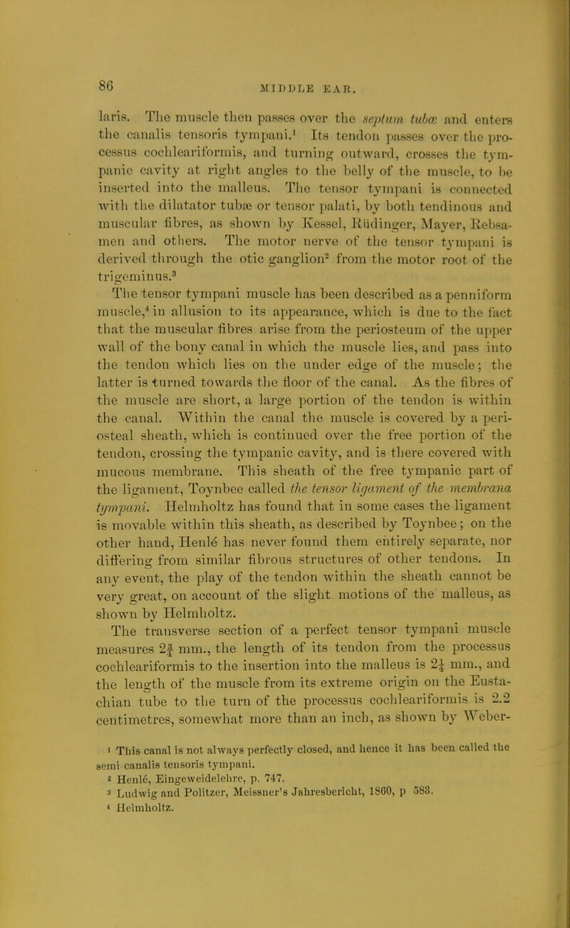 laris. The muscle then passes over the septum tubce and entere the canalis tensoris tympani.' Its tendon passes over the pro- cessus cochleariformis, jind turning outward, crosses the tym- panic cavity at right angles to the helly of the muscle, to he inserted into the malleus. The tensor tympani is connected with the dilatator tuhfE or tensor palati, hy hoth tendinous and muscular fibres, as shown by Kessel, Riidinger, Mayer, Rebsa- mcn and othei*s. The motor nerve of the tensor tympani is deriA^ed tlirough the otic ganglion^ from the motor root of the trigeminus.'' The tensor tympani muscle has been described as a penniform muscle,^ in allusion to its appearance, which is due to the fact that the muscular fibres arise from the periosteum of the upper wall of the bony canal in which the muscle lies, and pass into the tendon which lies on the under edge of the muscle; tlie latter is turned towards the floor of the canal. As the fibres of the muscle are short, a large portion of the tendon is within the canal. Within the canal the muscle is covered by a peri- osteal sheath, which is continued over the free portion of the tendon, crossing the tympanic cavity, and is there covered with mucous membrane. This sheath of the free tympanic part of the ligament, Toynbee called the tensor ligament of the membrana tympani. Helmholtz has found that in some cases the ligament is movable within this sheath, as described by Toynbee; on the other hand, Henle has never found them entirely separate, nor difierino; from similar fibrous structures of other tendons. In any event, the play of the tendon within the sheath cannot be very great, on account of the slight motions of the malleus, as shown by Helmholtz. The transverse section of a perfect tensor tympani muscle measures 2f mm., the length of its tendon from the processus cochleariformis to the insertion into the malleus is 2^ mm., and the length of the muscle from its extreme origin on the Eusta- chian tube to the turn of the processus cochleariformis is 2.2 centimetres, somewhat more than an inch, as shown by Weber- 1 This canal is not always perfectly closed, and hence it has been called the semi canalis tensoris tympani. 2 Henle, Eingeweidelehrc, p. 747. 3 Ludwig and Politzer, Meissner's Jahresbericht, 1800, p 583. * Helmholtz.