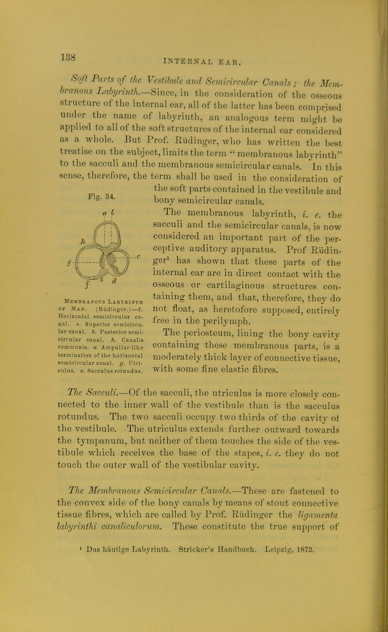INTERNAL EAR. Soft Parts of the Vestibule and Semicircular Canals ; the Mem- branous Labj/rinth.—8'mce, iii the consideration of the osseous structure of the internal ear, all of the latter has been comprised under the name of labyrinth, an analogous term might be applied to all of the soft structures of the internal ear considered as a whole. Eut Prof. Rudinger, who has written the best treatise on the subject, limits the term  membranous labyrinth to the sacculi and the membranous semicircular canals. In this sense, therefore, the term shall be used in the consideration of the soft parts contained in the vestibule and bony semicircular canals. The membranous labyrinth, i. e. the sacculi and the semicircular canals, is now considered au important part of the per- ceptive auditory apparatus. Prof Rudin- ger> has shown that these parts of the internal ear are in direct contact with the osseous or cartilaginous structures con- taining them, and that, therefore, they do not float, as heretofore supposed, entirely free in the perilymph. The periosteum, lining the bony cavity containing these membranous parts, is a moderately thick layer of connective tissue, with some fine elastic fibres. Membranous Labyrinth OF Man. (Rudinger.)—I. Hoiizontal .semiciicular ca- nal, f, Superior semicircu- lar canal, b. Posterior semi- circular canal, ft. Caualis communis, a Ampullai--like termination of the horizontal semicircular canal, ff. Utri- culus. c. Sacculus rotundus. The Sacculi.—Of the sacculi, the utriculus is more closely con- nected to the inner wall of the vestibule than is the sacculus rotundus. The two sacculi occupy two thirds of the cavity of the vestibule. The utriculus extends further outward towards the tympanum, but neither of them touches the side of the ves- tibule M'hich receives the base of the stapes, i. e. they do not touch the outer wall of the vestibular cavity. The Membranous Semicircular Canals.—These are fastened to the convex side of the bony canals by means of stout connective tissue fibres, which are called by Prof. Rudinger the ligarnenta labyrinthi canaliculorum. These constitute the true support of ' Das liautige Labyrinth. Strieker's Handbuch. Leipzig, 1872.