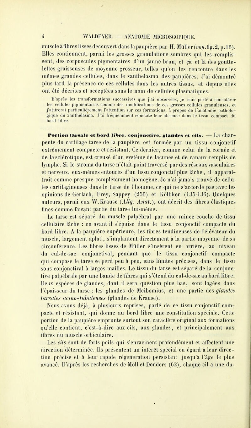 muscle càfibres lisses découvert dans la paupière par H. Millier (roî/.fig.2, p.16). Elles coiUienneiU, parmi les grosses granulations sombres qui les remplis- sent, des corpuscules pigmentaires d'un jaune brun, et çà et là des goutte- lettes graisseuses de moyenne grosseur, telles qu'on les rencontre dans les mêmes grandes cellules, dans le xanthelasma des paupières. J'ai démontré plus tard la présence de ces cellules dans les autres tissus, et depuis elles ont été décrites et acceptées sous le nom de cellules plasmaliques. D'après les transformations successives que j'ai observées, je suis porté à consiilércr les cellules pigmentaires comme des modifications de ces grosses cellules granuleuses, et j'attirerai particulièrement l'attention sur ces formations, à propos de l'anatomie patholo- gique du xantiielasma. J'ai fréquemment constaté leur absence dans le tissu compact du bord libre. Portion tarsale et bord libre, conjonctive, glandes et cils. — La char- pente du cartilage tarse de la paupière est formée par un tissu conjonctif extrêmement compacte et résistant. Ce dernier, comme celui de la cornée et de la sclérotique, est creusé d'un système de lacunes et de canaux remplis de lymphe. Si le stroma du tarse n'était point traversé par des réseaux vasculaires et nerveux, eux-mêmes entourés d'un tissu conjonctif plus lâche , il apparaî- trait comme presque complètement homogène. Je n'ai jamais trouvé de cellu- les cartilagineuses dans le tarse de l'homme, ce qui ne s'accorde pas avec les opinions de Gerlach, Frey, Sappey (256) et Kôlliker (135-136). Quelques auteurs, parmi eux W.Krause {Allg. Anat.), ont décrit des fibres élastiques fines comme faisant partie du tarse lui-même. Le tarse est séparé du muscle palpébral par une mince couche de tissu cellulaire lâche : en avant il s'épuise dans le tissu conjonctif compacte du bord libre. A la paupière supérieure, les fibres tendineuses de l'élévateur du muscle, largement aplati, s'implantent directement à la partie moyenne de sa circonférence. Les fibres lisses de MûUer s'insèrent en arrière, au niveau du cul-de-sac conjonctival, pendant que le tissu conjonctif compacte qui compose le tarse se perd peu à peu, sans limites précises, dans le tissu sous-conjonctival à larges mailles. Le tissu du tarse est séparé de la conjonc- tive palpébrale par une bande de fibres qui s'étend du cul-de-sac au bord libre. Deux espèces de glandes, dont il sera question plus bas, sont logées dans l'épaisseur du tarse : les glandes de Meibomius, et une partie des glandes larsales acino-tubuleuses (glandes de Krausc). Nous avons déjà, à plusieurs reprises, parlé de ce tissu conjonctif com- pacte et résistant, qui donne au bord libre une constitution spéciale. Cette portion de la paupière emprunte surtout son caractère original aux formations qu'elle contient, c'est-à-dire aux cils, aux glandes, et principalement aux fibres du muscle orbiculaire. Les cils sont de forts poils qui s'enracinent profondément et affectent une direction déterminée. Ils présentent un intérêt spécial eu égard à leur direc- tion précise et à leur rapide régénération persistant jusqu'à l'âge le plus avancé. D'après les recherches de Moll et Donders (62), chaque cil a une du-