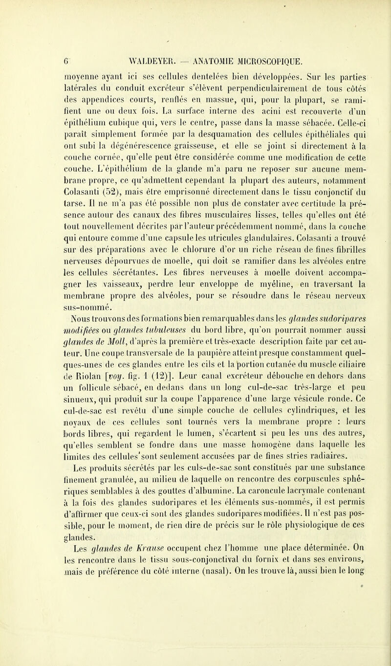 moyenne ayant ici ses cellules dentelées bien développées. Sur les parties latérales du conduit excréteur s'élèvent perpendiculairement de tous côtés des appendices courts, renflés en massue, qui, pour la plupart, se rami- fient une ou deux fois. La surface interne des acini est recouverte d'un épithélium cubique qui, vers le centre, passe dans la masse sébacée. Celle-ci paraît simplement formée par la desquamation des cellules épithéliales qui ont subi la dégénérescence graisseuse, et elle se joint si directement à la couche cornée, qu'elle peut être considérée comme une modification de cette couche. L'épithélium de la glande m'a paru ne reposer sur aucune mem- brane propre, ce qu'admettent cependant la plupart des auteurs, notamment Colasanti (52), mais être emprisonné directement dans le tissu conjonctif du tarse. Il ne m'a pas été possible non plus de constater avec certitude la pré- sence autour des canaux des fibres musculaires lisses, telles qu'elles ont été tout nouvellement décrites par l'auteur précédemment nommé, dans la couche qui entoure comme d'une capsule les utricules glandulaires. Colasanti a trouvé sur des préparations avec le chlorure d'or un riche réseau de fines fibrilles nerveuses dépourvues de moelle, qui doit se ramifier dans les alvéoles entre les cellules sécrétantes. Les fibres nerveuses à moelle doivent accompa- gner les vaisseaux, perdre leur enveloppe de myéline, eu traversant la membrane propre des alvéoles, pour se résoudre dans le réseau nerveux sus-nommé. Nous trouvons des formations bien remarquables dans les glandes sudoripares modifiées ou glandes tubulcuses du bord libre, qu'on pourrait nommer aussi glandes de Moll, d'après la première et très-exacte description faite par cet au- teur. Une coupe transversale de la paupière atteint presque constamment quel- ques-unes de ces glandes entre les cils et la portion cutanée du muscle ciliaire de Riolan [voy. fig. 1 (12)]. Leur canal excréteur débouche en dehors dans un follicule sébacé, en dedans dans un long cul-de-sac très-large et peu sinueux, qui produit sur la coupe l'apparence d'une large vésicule ronde. Ce cul-de-sac est revêtu d'une simple couche de cellules cylindriques, et les noyaux de ces cellules sont tournés vers la membrane propre : leurs Jjords libres, qui regardent le lumen, s'écartent si peu les uns des autres, qu'elles semblent se fondre dans une masse homogène dans laquelle les limites des cellules'sont seulement accusées par de fines stries radiaires. Les produits sécrétés par les culs-de-sac sont constitués par une substance finement granulée, au milieu de laquelle on rencontre des corpuscules sphé- riques semblables à des gouttes d'albumine. La caroncule lacrymale contenant à la fois des glandes sudoripares et les éléments sus-nommés, il est permis d'affirmer que ceux-ci sont des glandes sudoripares modifiées. Il n'est pas pos- sible, pour le moment, de rien dire de précis sur le rôle physiologique de ces glandes. Les glandes de Krause occupent chez l'homme une place déterminée. On les rencontre dans le tissu sous-conjonctival du fornix et dans ses environs, mais de préférence du côté interne (nasal). On les trouve là, aussi bien le long