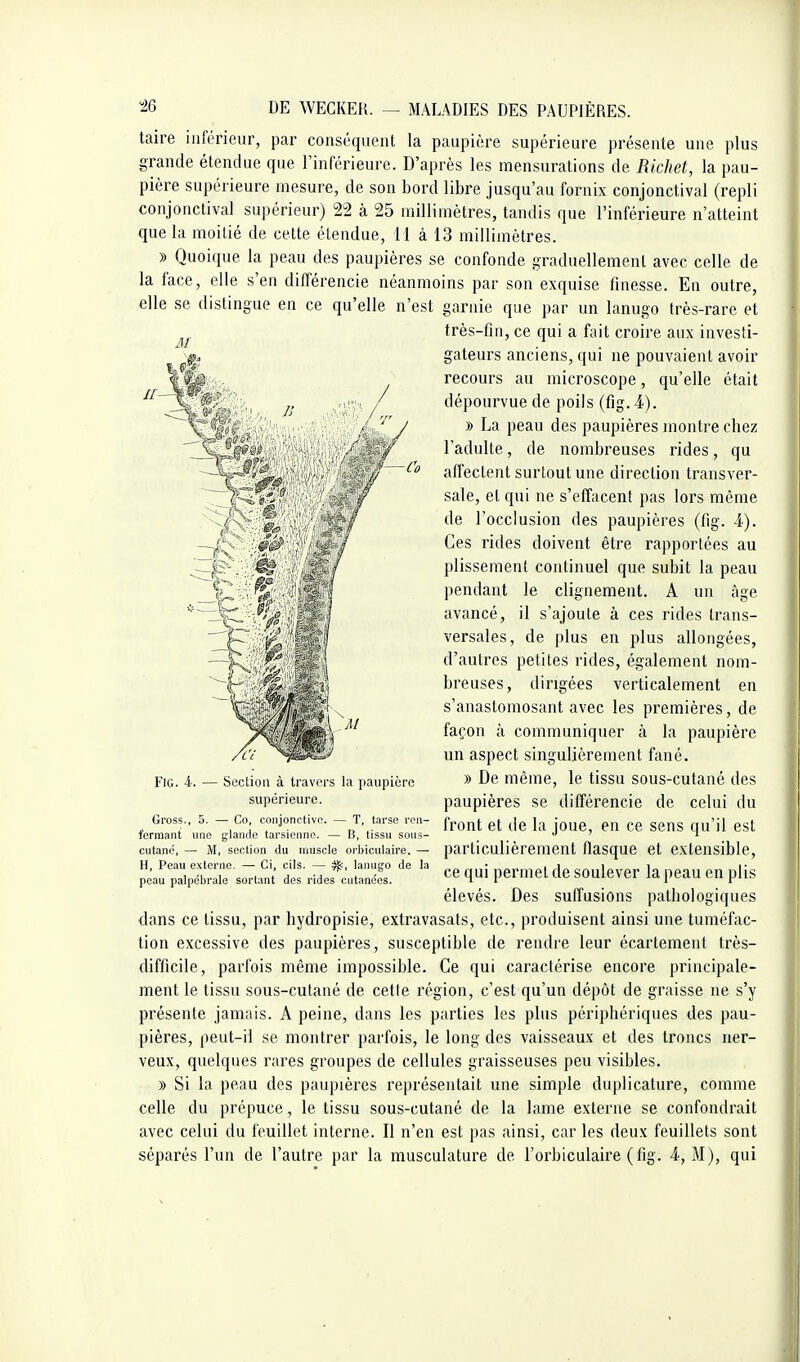 taire inférieur, par conséquent la paupière supérieure présente une plus grande étendue que l'inférieure. D'après les mensurations de Richet, la pau- pière supérieure mesure, de son bord libre jusqu'au fornix conjonctival (repli conjonctival supérieur) 22 à 25 millimètres, tandis que l'inférieure n'atteint que la moitié de cette étendue, i l à 13 millimètres. » Quoique la peau des paupières se confonde graduellement avec celle de la face, elle s'en différencie néanmoins par son exquise finesse. En outre, elle se distingue en ce qu'elle n'est garnie que par un lanugo très-rare et très-fin, ce qui a fait croire aux investi- gateurs anciens, qui ne pouvaient avoir recours au microscope, qu'elle était dépourvue de poils (fig. 4). » La peau des paupières montre chez l'adulte, de nombreuses rides, qu affectent surtout une direction transver- sale, et qui ne s'effacent pas lors même de l'occlusion des paupières (fig. 4). Ces rides doivent être rapportées au plissement continuel que subit la peau pendant le clignement. A un âge avancé, il s'ajoute à ces rides trans- versales, de plus en plus allongées, d'autres petites rides, également nom- breuses, dirigées verticalement en s'anastomosant avec les premières, de façon à communiquer à la paupière un aspect singulièrement fané. » De même, le tissu sous-cutané des paupières se différencie de celui du front et de la joue, en ce sens qu'il est particulièrement flasque et extensible, ce qui permet de soulever la peau en plis élevés. Des suffusions pathologiques dans ce tissu, par hydropisie, extravasats, etc., produisent ainsi une tuméfac- tion excessive des paupières, susceptible de rendre leur écartement très- difficile, parfois même impossible. Ce qui caractérise encore principale- ment le tissu sous-cutané de celle région, c'est qu'un dépôt de graisse ne s'y présente jamnis. A peine, dans les parties les plus périphériques des pau- pières, peut-il se montrer parfois, le long des vaisseaux et des troncs ner- veux, quelques rares groupes de cellules graisseuses peu visibles. » Si la peau des paupières représentait une simple duplicature, comme celle du prépuce, le tissu sous-cutané de la lame externe se confondrait avec celui du feuillet interne. Il n'en est pas ainsi, car les deux feuillets sont séparés l'un de l'autre par la musculature de l'orbiculaire (fig. 4, M), qui Fig. 4. — Section à travers la paupière supérieure. Gross., 5. — Co, conjonctive. — T, tarse ren- fermant une glande tarsienne. — B, tissu sous- cutané, — M, section du muscle orbiculaire. — H, Peau externe. — Ci, cils. — lanug-o de la peau palpébrale sortant des rides cutanées.