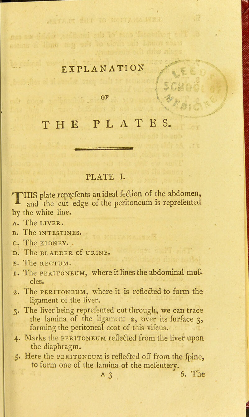 EXPLANATION - OF THE PLATES. PLATE L THIS plate repi;efents an ideal fe£tion of the abdomen, and the cut edge of the peritoneum is reprefented by the white line. A. The LIVER. B. The INTESTINES. C. The KIDNEY. - D. The BLADDER of URINE. E. The RECTUM. 1. The PERITONEUM, where it lines the abdominal muf- cles. 2. The PERITONEUM, wherc it is reflefted to form the ligament of the liver. 3. The liver being reprefented cut through, we can trace the lamina of the ligament 2, over its furface 3, forming the peritoneal coat of this vifcus. 4. Marks the peritoneum reflected from the liver upon the diaphragm. 5. Here the peritoneum is reflefted off from the fpine, to form one of the lamina of the mefentery. A3 6. The