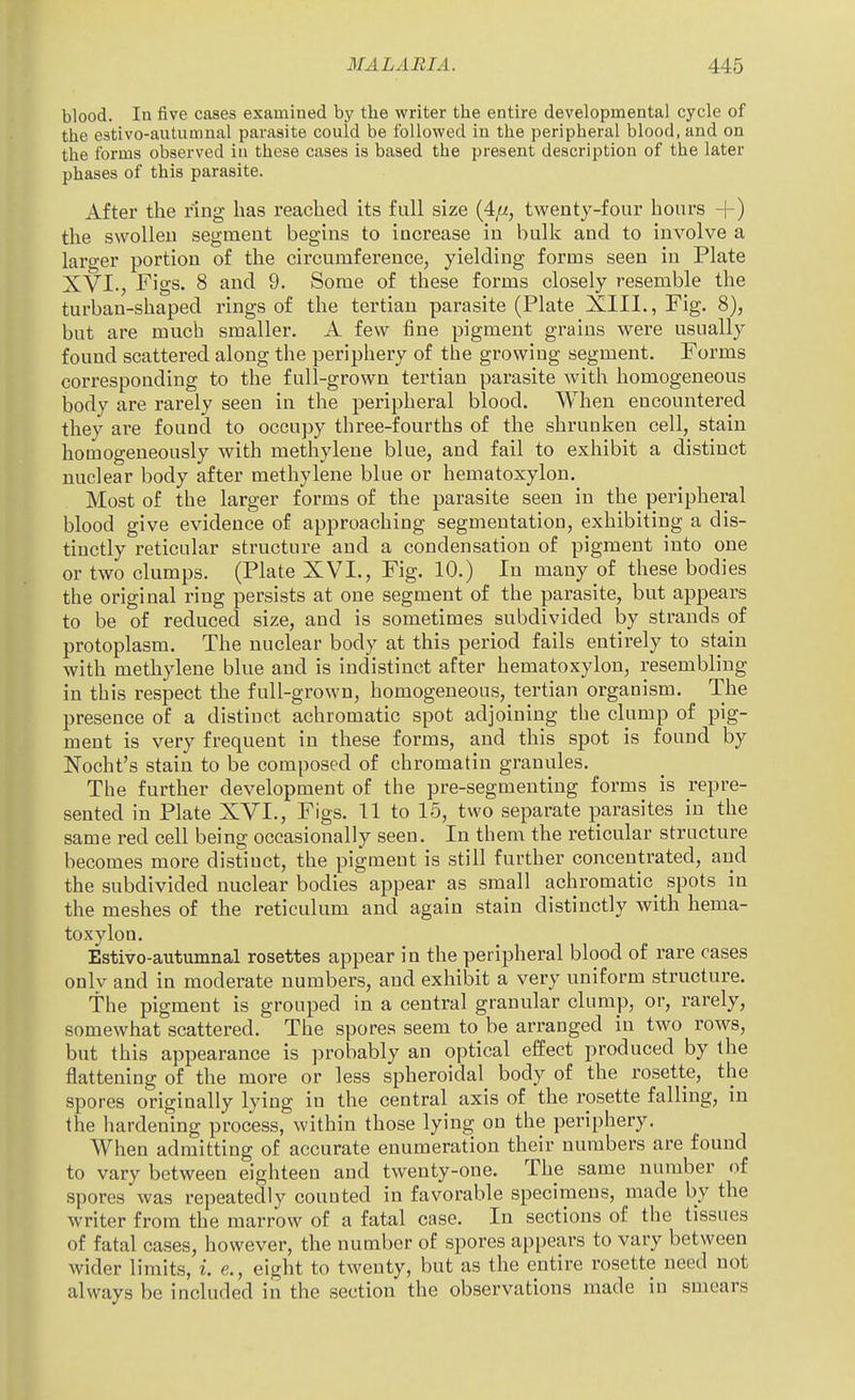blood. In five cases examined by the writer the entire developmental cycle of the estivo-autumnal parasite could be followed in the peripheral blood, and on the forms observed iu these cases is based the present description of the later phases of this parasite. After the ring has reached its full size (4//, twenty-four hours +) the swollen segment begins to increase in bulk and to involve a larger portion of the circumference, yielding forms seen in Plate XVI., Figs. 8 and 9. Some of these forms closely resemble the turban-shaped rings of the tertian parasite (Plate XIII., Fig. 8), but are much smaller. A few fine pigment grains were usually found scattered along the periphery of the grovsriug segment. Forms corresponding to the full-grown tertian parasite with homogeneous body are rarely seen in the peripheral blood. When encountered they are found to occupy three-fourths of the shrunken cell, stain homogeneously with methylene blue, and fail to exhibit a distinct nuclear body after methylene blue or hematoxylon. Most of the larger forms of the parasite seen in the peripheral blood give evidence of approaching segmentation, exhibiting a dis- tinctly reticular structure and a condensation of pigment into one or two clumps. (Plate XVI., Fig. 10.) In many of these bodies the original ring persists at one segment of the parasite, but appears to be of reduced size, and is sometimes subdivided by strands of protoplasm. The nuclear body at this period fails entirely to stain with methylene blue and is indistinct after hematoxylon, resembling in this respect the full-grown, homogeneous, tertian organism. The presence of a distinct achromatic spot adjoining the clump of pig- ment is very frequent in these forms, and this spot is found by Nocht's stain to be composed of chromatin granules. The further development of the pre-segmenting forms is repre- sented in Plate XVI., Figs. 11 to 15, two separate parasites in the same red cell being occasionally seen. In them the reticular structure becomes more distinct, the pigment is still further concentrated, and the subdivided nuclear bodies appear as small achromatic^ spots in the meshes of the reticulum and again stain distinctly with hema- toxylon. Estivo-autumnal rosettes appear in the peripheral blood of rare cases onlv and in moderate numbers, and exhibit a very uniform structure. The pigment is grouped in a central granular clump, or, rarely, somewhat scattered. The spores seem to be arranged in two rows, but this appearance is probably an optical effect produced by the flattening of the more or less spheroidal body of the rosette, the spores originally lying in the central axis of the rosette falling, in the hardening process, within those lying on the periphery. When admitting of accurate enumeration their numbers are found to vary between eighteen and twenty-one. The same number of spores was repeatedly counted in favorable specimens, made by the writer from the marrow of a fatal case. In sections of the tissues of fatal cases, however, the number of spores appears to vary between wider limits, i. e., eight to twenty, but as the entire rosette need not always be included in the section the observations made in smears