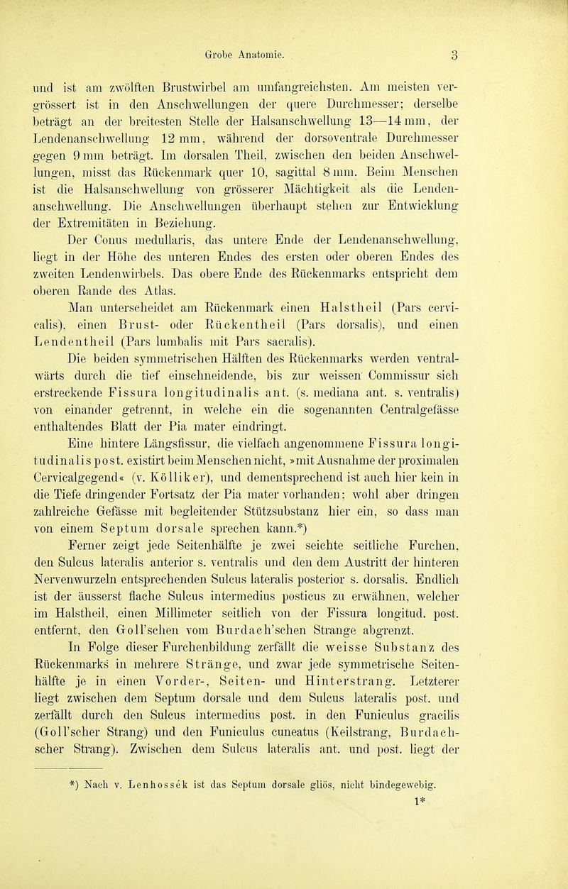 und ist am zwölften Brustwirbel am umfangreichsten. Am meisten ver- grössert ist in den Anschwellungen der quere Durchmesser; derselbe beträgt an der breitesten Stelle der Halsanschwellung 13—14 mm, der Lendenanschwellung 12 mm, während der dorsoventrale Durchmesser gegen 9 mm beträgt. Im dorsalen Theil, zwischen den beiden Anschwel- lungen, misst das Eückenmark quer 10, sagittal 8 mm. Beim Mensehen ist die Halsanschwellung von grösserer Mächtigkeit als die Lenden- anschwellung. Die Anschwellungen überhaupt stehen zur Entwicklung der Extremitäten in Beziehung. Der Conus meduUaris, das untere Ende der Lendenanschwellung, liegt in der Höhe des untei'en Endes des ersten oder oberen Endes des zweiten Lendenwirbels. Das obere Ende des Eückenmarks entspricht dem oberen Rande des Atlas. Man unterscheidet am Eückenmark einen Hals theil (Pars cervi- ealis), einen Brust- oder Eückentheil (Pars dorsalis), und einen Lendentheil (Pars lumbalis mit Pars sacrahs). Die beiden symmetrischen Hälften des Eückenmarks werden ventral- wärts durch die tief einschneidende, bis zur weissen Commissur sich erstreckende Fissura longitudinalis ant. (s. mediana ant. s. ventrahs) von einander getrennt, in welche ein die sogentinnten Centralgefässe enthaltendes Blatt der Pia mater eindringt. Eine hintere Längstissur, die vielfach angenommene Fissura longi- tudinalis p o s t. existirt beim Menschen nicht, »mit Ausnahme der proximalen Cervicalgegend« (v. Kölliker), und dementsprechend ist auch hier kein in die Tiefe dringender Fortsatz der Pia mater vorhanden; wohl aber dringen zahlreiche Gefässe mit begleitender Stützsubstanz hier ein, so dass man von einem Septum dorsale sprechen kann.*) Ferner zeigt jede Seitenhälfte je zwei seichte seitliche Furchen, den Sulcus lateralis anterior s. ventralis und den dem Austritt der hinteren Nervenwurzeln entsprechenden Sulcus lateralis posterior s. dorsalis. Endlich ist der äusserst flache Sulcus intermedius posticus zu erwähnen, welcher im Halstheil, einen Millimeter seitlich von der Fissura longitud. post. entfernt, den Goll'schen vom Burdach'schen Strange abgrenzt. In Folge dieser Furchenbildung zerfällt die weisse Substanz des Eückenmarks in mehrere Stränge, und zwar jede symmetrische Seiten- hälfte je in einen Vorder-, Seiten- und Hinterstrang. Letzterer liegt zwischen dem Septum dorsale und dem Sulcus lateralis post. und zerfällt durch den Sulcus intermedius post. in den Funiculus gracilis (GolTscher Strang) und den Funiculus cuneatus (Keilstrang, Burdacli- scher Strang). Zwischen dem Sulcus lateralis ant. und post. liegt der ■) Nach V. Lenhossek ist das Septum dorsale gliös, nicht bindegewebig. 1*