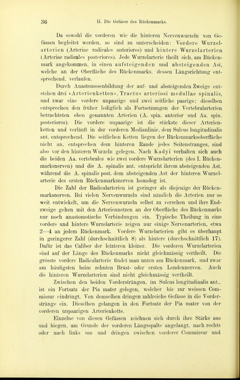 Da sowohl die vorderen wie die hinteren Nervenwurzeln von Ge- lassen hegleitet werden, so sind zu unterscheiden: Vordere Wurzel- arterien (Arteriae radicales anteriores) und hintere Wurzelarterien (Arteriae radicales posteriores). Jede Wurzelarterie theilt sich, am Eücken- mark angekommen, in einen aufsteigenden und absteigenden Ast, welche an der Oberfläche des Rückenmarks, dessen Längsrichtung ent- sprechend, verlaufen. Durch Anastomosenbildung der auf- und absteigenden Zweige ent- stehen drei »Arterienketten«, Tractus arteriosi medullae spinalis, und zwar eine vordere unpaarige und zwei seitliche paarige; dieselben entsprechen den früher lediglieh als Fortsetzungen der Vertebralarterien betrachteten oben genannten Arterien (A. spin. anterior und Aa. spin. posteriores). Die vordere unpaarige ist die stärkste dieser xirterien- ketten und verläuft in der vorderen Medianlinie, dem Sulcus longitudinalis ant. entsprechend. Die seitlichen Ketten liegen der Eückenmarksoberfläche nicht an, entsprechen dem hinteren Eande jedes Seitenstranges, sind also vor den hinteren Wurzeln gelegen. Nach Kadyi verhalten sich auch die beiden Aa. vertebrales wie zwei vordere Wurzelarterien (des I. Eücken- marksnerven) und die A. spinalis ant. entspricht ihrem absteigenden Ast, während die A. spinalis post. dem absteigenden Ast der hinteren Wurzel- arterie des ersten Eückenmarksnerven homolog ist. Die Zahl der Eadicalarterien ist geringer als diejenige der Eücken- marksnerven. Bei vielen Nerven wurzeln sind nämlich die Arterien nur so weit entwickelt, um die Nervenwurzeln selbst zu versehen und ihre End- zweige gehen mit den Arteriennetzen an der Oberfläche des Eiiekenmarks nur noch anastomotische Verbindungen ein. Typische Theilung in eine vordere und hintere Wurzelarterie zeigen rmr einige Nervenarterien, etwa 2—4 an jedem Eückenmark. Vordere Wurzelarterien gibt es überhaupt in geringerer Zahl (durchschnittlich 8) als hintere (durchschnittlich 17). Dafür ist das Caliber der letzteren kleiner. Die vorderen Wurzelarterien sind auf der Länge des Eückenmarks nicht gleichmässig vertheilt. Die grösste vordere Eadicalarterie findet man unten am Eückenmark, und zwar am häufigsten beim zehnten Brust- oder ersten Lendennerven. Auch die hinteren Wurzelarterien sind nicht gleichmässig vertheilt. Zwischen den beiden Vordersträngen, im Sulcus longitudinalis ant., ist ein Fortsatz der Pia mater gelegen, welcher bis zur weissen Com- missur eindringt. Von demselben dringen zahlreiche Gefässe in die Vorder- stränge ein. Dieselben gelangen in den Fortsatz der Pia niater von der vorderen unpaarigen Arterienkette. Einzelne von diesen Gefässen zeichnen sich durch ihre Stärke aus und biegen, am Grunde der vorderen Längsspalte angelangt, nach rechts oder nach links um und dringen zwischen vorderer Commissur und