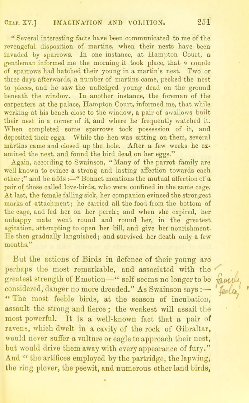 25f  Several interesting facts have been communicated to me of the revengeful disposition of martins, when their nests have been invaded by sparrows. In one instance, at Hampton Court, a gentleman informed me the morning it took place, thai i couple of sparrows had hatched their young in a martin's nest. Two or three days afterwards, a number of martins came, pecked the nest to i^ieces, and he saw the unfledged young dead on the ground beneath the window. In another instance, the foreman of the carpenters at the palace, Hampton Court, informed me, that while working at his bench close to the window, a pair of swallosvs built their nest in a corner of it, and where he frequently watched it. When completed some sparrows took possession of it, and deposited their eggs. While the hen was sitting on them, several martins came and closed up the hole. After a few weeks he ex- amined the nest, and found the bird dead on her eggs. Again, according to Swainson, Many of the paiTot family are well known to evince a strong and lasting affection towards each other; and he adds :— Bonnet mentions the mutual affection of a pair of those called love-birds, who were confined in the same cage. At last, the female falling sick, her companion evinced the strongest marks of attachment; he carried all the food from the bottom of the cage, and fed her on her perch; and when she expired, her unhappy mate went round and round her, in the greatest agitation, attempting to open her bill, and give her nourishment. He then gradually languished; and survived her death only a few months. But the actions of Birds in defence of their young are perhaps the most remarkable, and associated with the greatest strength of Emotion— self seems no longer to be considered, danger no more dreaded. As Swainson says :—  The most feeble birds, at the season of incubation, assault the strong and fierce ; the weakest will assail the most powerful. It is a well-known fact that a pair of ravens, which dwelt in a cavity of the rock of Gibraltar, would never suffer a vulture or eagle to approach their nest, but would drive them away with every appearance of fury. And  the artifices employed by the partridge, the lapwing, the ring plover, the peewit, and numerous other land birds,