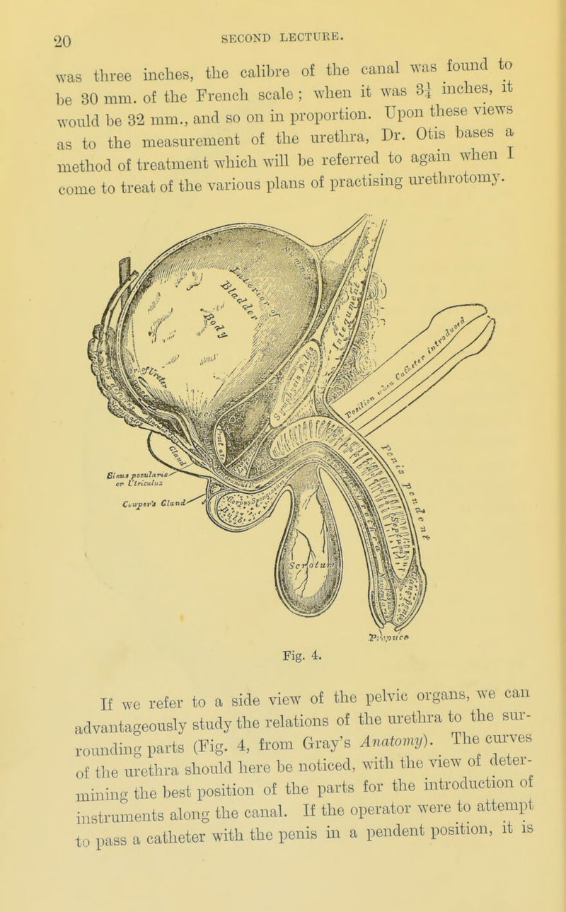 was three inches, the calibre of the canal was found to be 30 mm. of the French scale ; when it was H inches, it would be 32 mm., and so on in proportion. Upon these views as to the measurement of the urethra, Dr. Otis bases a method of treatment which will be referred to again when I come to treat of the various plans of practising urethrotomy. !P;vpttc» Fig. 4. If we refer to a side view of the pelvic organs, we can advantageously study the relations of the urethra to the sur- rounding parts (Fig. 4, from Gray's Anatomy). The curves of the urethra should here be noticed, with the view of deter- mining the best position of the parts for the introduction of instruments along the canal. If the operator were to attempt to pass a catheter with the penis in a pendent position, it is