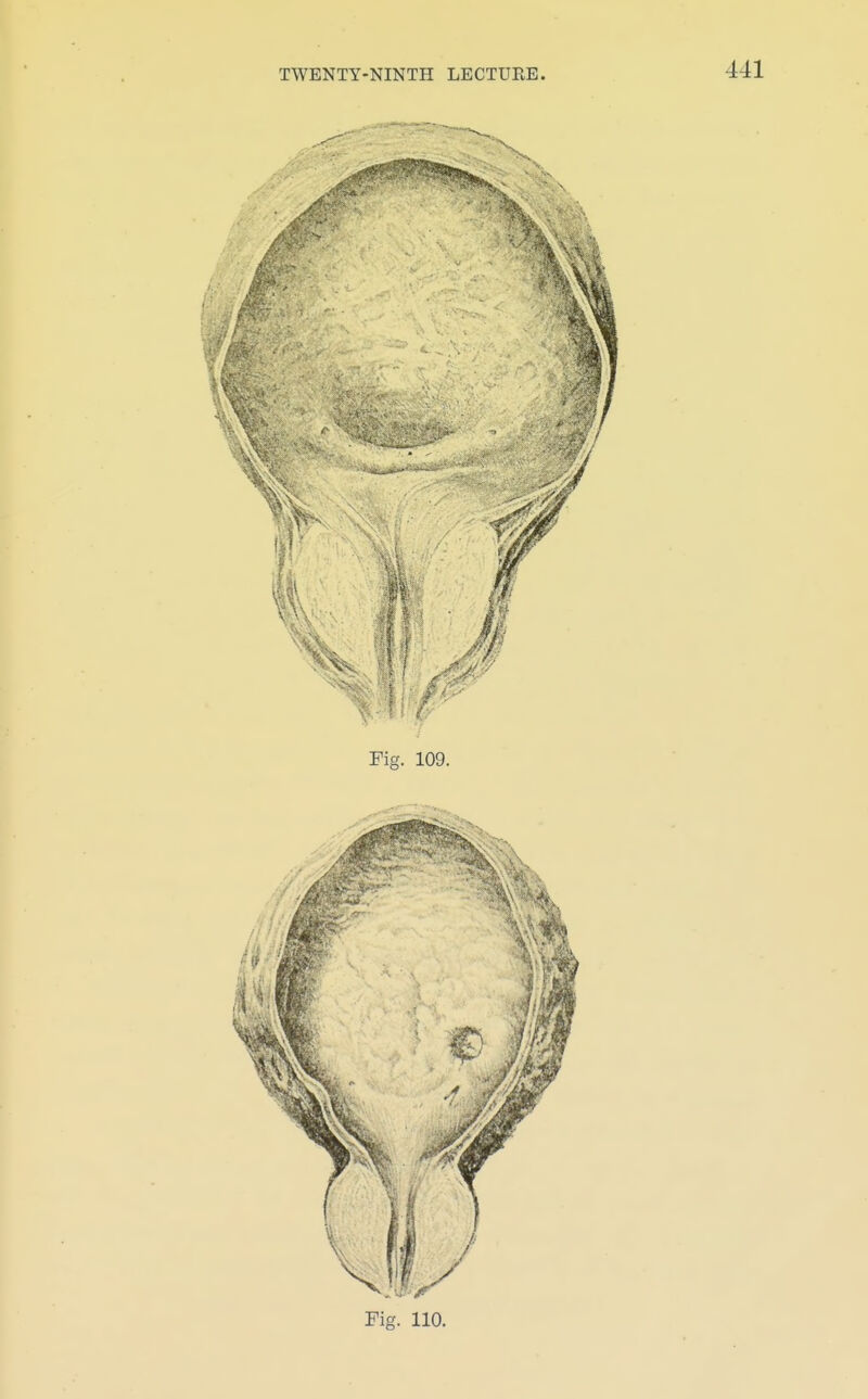 Fig. 110,