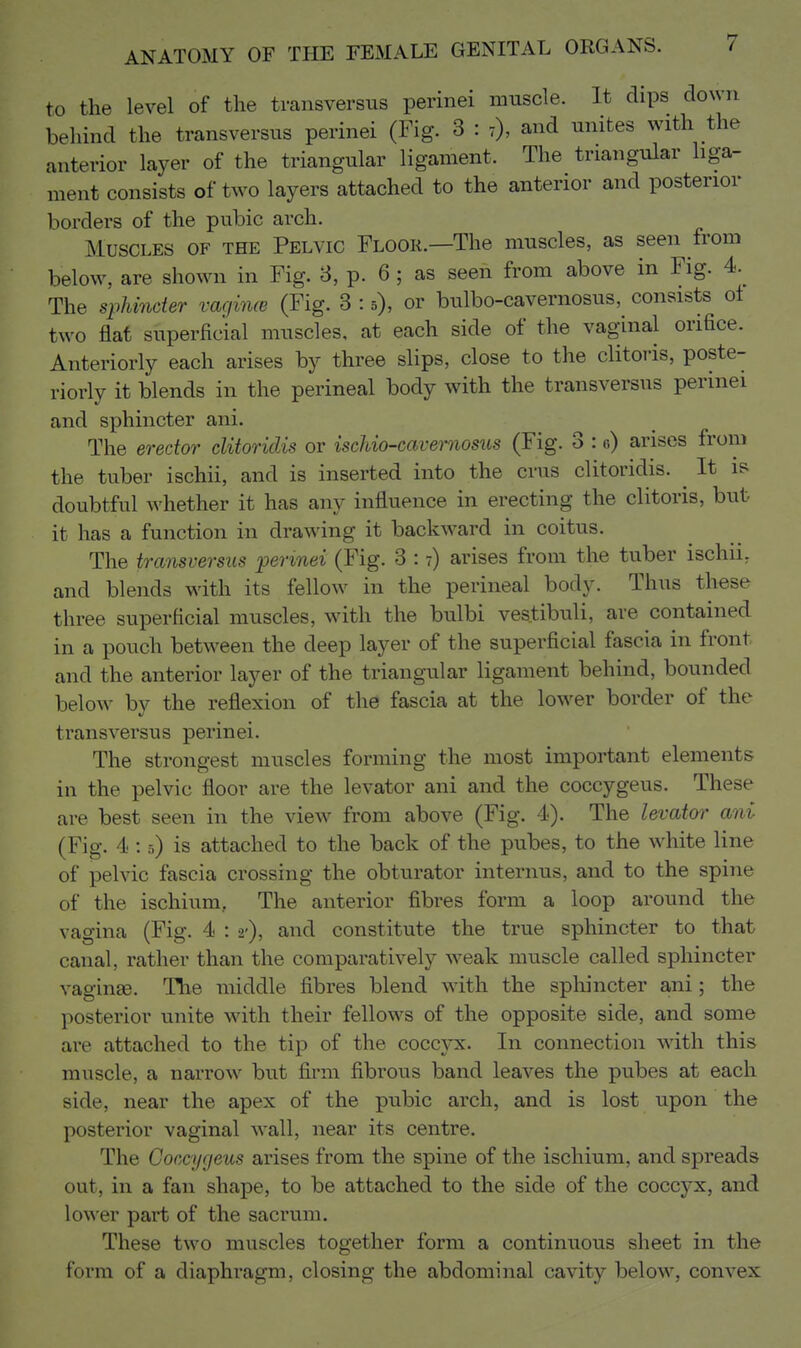 to the level of the transversus perinei muscle. It dips down behind the transversus perinei (Fig. 3 : -), and unites with the anterior layer of the triangular ligament. The triangular liga- ment consists of two layers attached to the anterior and posterior borders of the pubic arch. Muscles of the Pelvic Floor.—The muscles, as seen from below, are shown in Fig. 3, p. 6 ; as seen from above in Fig. 4.^ The sphincter vagime (Fig. 3 : s), or bulbo-cavernosus, consists of two flat superficial muscles, at each side of the vaginal orifice. Anteriorly each arises by three slips, close to the clitoris, poste- riorly it blends in the perineal body with the transversus perinei and sphincter ani. The erector clitoridis or iscJdo-cavernosus (Fig. 3 : o) arises from the tuber ischii, and is inserted into the cms clitoridis. ^ It is^ doubtful whether it has any influence in erecting the clitoris, but it has a function in drawdng it backward in coitus. The transversus perinei (Fig. 3 :7) arises from the tuber ischii, and blends with its fellow in the perineal body. Thus these three superficial muscles, with the bulbi vestibuli, are contained in a pouch between the deep layer of the superficial fascia in front and the anterior layer of the triangular ligament behind, bounded below by the reflexion of the fascia at the lower border of the transversus perinei. The strongest muscles forming the most important elements in the pelvic floor are the levator ani and the coccygeus. These are best seen in the view from above (Fig. 4). The levatm' ani (Fig. 4 :5) is attached to the back of the pubes, to the white line of pelvic fascia crossing the obturator internus, and to the spine of the ischium. The anterior fibres form a loop around the vagina (Fig. 4 : 2'), and constitute the true sphincter to that canal, rather than the comparatively weak muscle called sphincter vaginge. The middle fibres blend wdth the sphincter ani; the posterior unite with their fellows of the opposite side, and some are attached to the tip of the coccyx. In connection with this muscle, a narrow but firm fibrous band leaves the pubes at each side, near the apex of the pubic arch, and is lost upon the posterior vaginal wall, near its centre. The Coccygeus arises from the spine of the ischium, and spreads out, in a fan shape, to be attached to the side of the coccyx, and lower part of the sacrum. These two muscles together form a continuous sheet in the form of a diaphragm, closing the abdominal cavity below, convex