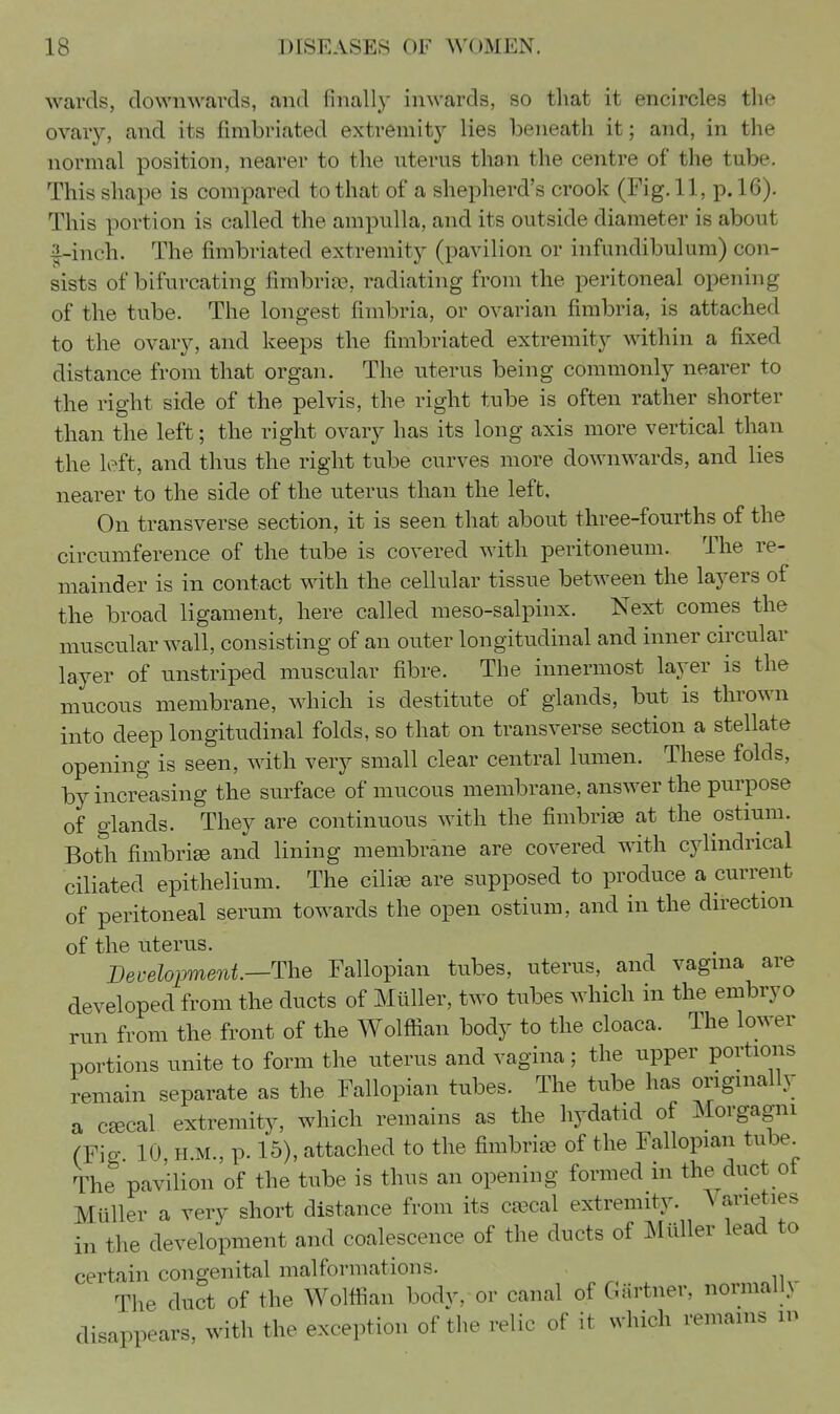 wards, downwards, and finally inwards, so that it encircles the ovary, and its fimbriated extremity lies beneath it; and, in the normal position, nearer to the uterus than the centre of the tube. This shape is compared to that of a shepherd's crook (Fig. 11, p. 16). This portion is called the ampulla, and its outside diameter is about |-inch. The fimbriated extremity (pavilion or infundibulum) con- sists of bifurcating fimbrias, radiating from the peritoneal opening of the tube. The longest fimbria, or ovarian fimbria, is attached to the ovary, and keeps the fimbriated extremity within a fixed distance from that organ. The uterus being commonly nearer to the right side of the pelvis, the right tube is often rather shorter than the left; the right ovary has its long axis more vertical than the left, and thus the right tube curves more downwards, and lies nearer to the side of the uterus than the left. On transverse section, it is seen that about three-fourths of the circumference of the tube is covered with peritoneum. The re- mainder is in contact with the cellular tissue between the layers of the broad ligament, here called meso-salpinx. Next comes the muscular wall, consisting of an outer longitudinal and inner circular layer of unstriped muscular fibre. The innermost layer is the mucous membrane, which is destitute of glands, but is thrown into deep longitudinal folds, so that on transverse section a stellate opening is seen, with very small clear central lumen. These folds, by increasing the surface of mucous membrane, answer the purpose of glands. They are continuous with the fimbriae at the ostium. Both fimbriae and lining membrane are covered with cylindrical ciliated epithelium. The cili« are supposed to produce a current of peritoneal serum towards the open ostium, and in the direction of the uterus. Development.—The Fallopian tubes, uterus, and vagina are developed from the ducts of Miiller, two tubes which in the embryo run from the front of the Wolflian body to the cloaca. The lower portions unite to form the uterus and vagina; the upper portions remain separate as the Fallopian tubes. The tube has origmally a cEecal extremity, which remains as the hydatid of Morgagni (Fig 10 H.M., p. 15), attached to the fimbriee of the Fallopian tube The pavilion of the tube is thus an opening formed in the duct of MuUer a very short distance from its caecal extremity. \ arieties in the development and coalescence of the ducts of MtiUer lead to certain congenital malformations. The duct of the Wolfiian body, or canal of Gartner, normally disappears, with the exception of the relic of it which remams in