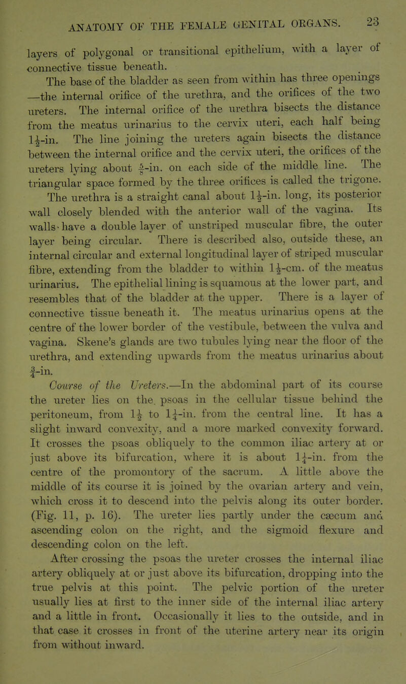 layers of polygonal or transitional epithelium, with a layer of connective tissue beneath. The base of the bladder as seen from within has three openings —the internal orifice of the urethra, and the orifices of the two ureters. The hiternal orifice of the urethra bisects the distance from the meatus urinarius to the cervix uteri, each half being 1^-in. The line joining the ureters again bisects the distance between the internal orifice and the cervix uteri, the orifices of the ureters lying about -f-in. on each side of the middle line. The triangular space formed by the three orifices is called the trigone. The urethra is a straight canal about 1^-in. long, its posterior wall closely blended with the anterior wall of the vagina. Its walls > have a double layer of unstriped muscular fibre, the outer layer being circular. There is described also, outside these, an internal circular and external longitudinal layer of striped muscular fibre, extending from the bladder to within 1^-cm. of the meatus urinarius. The epithelial lining is squamous at the lower part, and resembles that of the bladder at the upper. There is a layer of connective tissue beneath it. The meatus urinarius opens at the centre of the lower border of the vestibule, between the vulva and vagina. Skene's glands are two tubules lying near the floor of the urethra, and extending upwards from the meatus urinarius about f-in. Course of the Ureters.—In the abdominal part of its course the ureter lies on the. psoas in the cellular tissue behind the peritoneum, from 1^ to l:^-in. from the central line. It has a slight inward convexity, and a more marked convexity forward. It crosses the psoas obliquel}'' to the common iliac arterj^ at or just above its bifurcation, where it is about 1^-in. from the centre of the promontory of the sacrum. A little above the middle of its course it is joined by the ovarian artery and vein, which cross it to descend into the pelvis along its outer border. (Fig. 11, p. 16). The ureter lies partly under the caecum and ascending colon on the right, and the sigmoid flexure and descending colon on the left. After crossing the psoas the ureter crosses the internal iliac artery obliquely at or just above its bifurcation, dropping into the true pelvis at this point. The pelvic portion of the ureter usually lies at first to the inner side of the internal iliac artery and a little in front. Occasionally it lies to the outside, and in that case it crosses in front of the uterine artery near its origin from without inward.