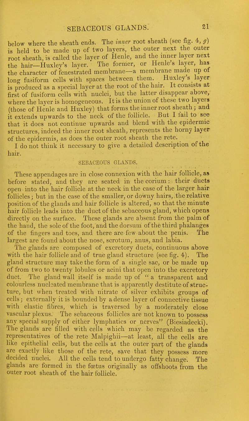 SEBACEOUS GLANDS. below where the sheath ends. The inner root sheath (see fig. 4, g) is held to be made up of two layers, the outer next the outer root sheath, is called the layer of Henle, and the inner layer next the hair—Huxley's layer. The former, or Henle s layer, has the character of fenestrated membrane—a membrane made up of long fusiform cells with spaces between them. Huxley's layer is produced as a special layer at the root of the hair. It consists at first of fusiform cells with nuclei, but the latter disappear above, where the layer is homogeneous. It is the union of these two layers (those of Henle and Huxley) that forms the inner root sheath ; and it extends upwards to the neck of the follicle. But I fail to see that it does not continue upwards and blend with the epidermic structures, indeed the inner root sheath, represents the horny layer of the epidermis, as does the outer root sheath the rete. I do not think it necessary to give a detailed description of the hair. SEBACEOUS GLANDS. These appendages are in close connexion with the hair follicle, as before stated, and they are seated in the corium: their ducts open into the hair follicle at the neck in the case of the larger hair follicles; but in the case of the smaller, or downy hairs,, the relative position of the glands and hair follicle is altered, so that the minute hair follicle leads into the duct of the sebaceous gland, which opens directly on the surface. These glands are absent from the palm of the hand, the sole of the foot, and the dorsum of the third phalanges of the fingers and toes, and there are few about the penis. The largest are found about the nose, scrotum, anus, and labia. The glands are composed of excretory ducts, continuous above with the hair follicle and of true gland structure (see fig. 4). The gland structure may take the form of a single sac, or be made up of from two to twenty lobules or acini that open into the excretory duct. The gland wall itself is made up of  a transparent and colourless nucleated membrane that is apparently destitute of struc- ture, but when treated with nitrate of silver exhibits groups of cells; externally it is bounded by a dense layer of connective tissue with elastic fibres, which is traversed by a moderately close vascular plexus. The sebaceous follicles are not known to possess any special supply of either lymphatics or nerves (Biesiadecki). The glands are filled with cells which may be regarded as the representatives of the rete Malpighii—at least, all the cells are like epithelial cells, but the cells at the outer part of the glands are exactly like those of the rete, save that they possess more decided nuclei. All the cells tend to undergo fatty change. The glands are formed in the foetus originally as offshoots from the outer root sheath of the hair follicle.