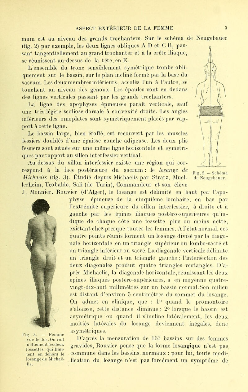 Fig. 2. — Schéma de Neuptebauer. mum est au niveau des grands trochanters. Sur le schéma de Neugebaucr (fig. 2) par exemple, les deux lignes obliques A D et C B, pas- sant tangentiellement au grand trochanter et à la crête iliaque, se réunissent au-dessus de la tête, en E. L'ensemble du tronc sensiblement symétrique tombe obli- quement sur le bassin, sur le plan incliné formé par la base du sacrum. Les deux membres inférieurs, accolés l'un à l'autre, se touchent au niveau des genoux. Les épaules sont en dedans des lignes verticales passant par les grands trochanters. La ligne des apophyses épineuses paraît verticale, sauf une très légère scoliose dorsale à convexité droite. Les angles inférieurs des omoplates sont symétriquement placés par rap- port à cette ligne. Le bassin large, bien étoffé, est recouvert par les muscles fessiers doublés d'une épaisse couche adipeuse. Les deux plis fessiers sont situés sur une même ligne horizontale et symétri- ques par rapport au sillon interfessier vertical. Au-dessus du sillon interfessier existe une région qui cor- respond à la face postérieure du sacrum : le losange de Michaelis (fig. 3). Étudié depuis Michaelis par Stratz, Muel- lerheim, Teobaldo, Sali (de Turin), Commandeur et son élève J. Monnier, Rouvier (d'Alger), le losange est délimité en haut par l'apo- #physe épineuse de la cinquième lombaire, en bas par l'extrémité supérieure du sillon interfessier, à droite et à gauche par les épines iliaques postéro-supérieures qu'in- dique de chaque côté une fossette plus ou moins nette, existant chez presque toutes les femmes. A l'état normal, ces quatre points réunis forment un losange divisé par la diago- nale horizontale en un triangle supérieur ou lombo-sacré et un triangle inférieur ou sacré. La diagonale verticale délimite un triangle droit et un triangle gauche ; l'intersection des deux diagonales produit quatre triangles rectangles. D'a- près Michaelis, la diagonale horizontale, réunissant les deux épines iliaqués postéro-supérieures, a en moyenne quatre- vingt-dix-huit millimètres sur un bassin normal. Son milieu est distant d'environ 5 centimètres du sommet du losange. On admet en clinique, que : 1° quand le promontoire s'abaisse, cette distance diminue ; 2° lorsque le bassin est asymétrique ou quand il s'incline latéralement, les deux moitiés latérales du losange deviennent inégales, donc asymétriques. Fig. 3. — Femme J ,n . . vue de clos. On voit D après la mensuration de 163 bassins sur des femmes nettementlesdeux gr-avides, Rouvier pense que la forme losangique n'est pas fossettes qui limi- \ . ° / 1 tent en dehors le commune dans les bassins normaux : pour lui, toute modi- îosangede Michae- flcation du losange n'est pas forcément un symptôme de