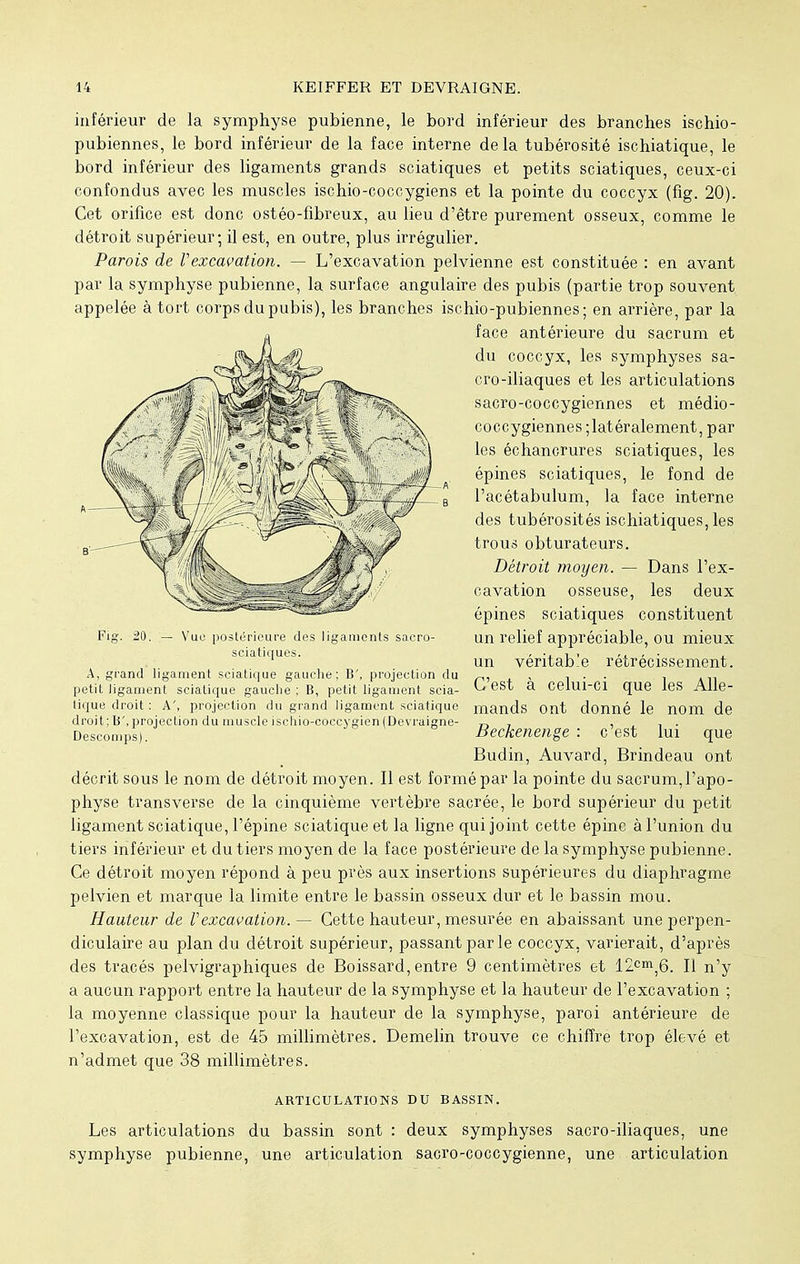 inférieur de la symphyse pubienne, le bord inférieur des branches ischio- pubiennes, le bord inférieur de la face interne delà tubérosité ischiatique, le bord inférieur des ligaments grands sciatiques et petits sciatiques, ceux-ci confondus avec les muscles ischio-coccygiens et la pointe du coccyx (fig. 20). Cet orifice est donc ostéo-fibreux, au lieu d'être purement osseux, comme le détroit supérieur; il est, en outre, plus irrégulier. Parois de Vexcavation. — L'excavation pelvienne est constituée : en avant par la symphyse pubienne, la surface angulaire des pubis (partie trop souvent appelée à tort corps du pubis), les branches ischio-pubiennes; en arrière, par la face antérieure du sacrum et du coccyx, les symphyses sa- cro-iliaques et les articulations sacro-coccygiennes et médio- coccygiennes ; latéralement, par les échancrures sciatiques, les épines sciatiques, le fond de l'acétabulum, la face interne des tubérosités ischiatiques, les trous obturateurs. Détroit moyen. — Dans l'ex- cavation osseuse, les deux épines sciatiques constituent un relief appréciable, ou mieux un véritable rétrécissement. C'est à celui-ci que les Alle- mands ont donné le nom de Beckenenge : c'est lui que Budin, Auvard, Brindeau ont décrit sous le nom de détroit moyen. Il est formé par la pointe du sacrum,l'apo- physe transverse de la cinquième vertèbre sacrée, le bord supérieur du petit ligament sciatique, l'épine sciatique et la ligne qui joint cette épine à l'union du tiers inférieur et du tiers moyen de la face postérieure de la symphyse pubienne. Ce détroit moyen répond à peu près aux insertions supérieures du diaphragme pelvien et marque la limite entre le bassin osseux dur et le bassin mou. Hauteur de l'excavation. — Cette hauteur, mesurée en abaissant une perpen- diculaire au plan du détroit supérieur, passant par le coccyx, varierait, d'après des tracés pelvigraphiques de Boissard, entre 9 centimètres et 12cm,6. Il n'y a aucun rapport entre la hauteur de la symphyse et la hauteur de l'excavation ; la moyenne classique pour la hauteur de la symphyse, paroi antérieure de l'excavation, est de 45 millimètres. Demelin trouve ce chiffre trop élevé et n'admet que 38 millimètres. ARTICULATIONS DU BASSIN. Les articulations du bassin sont : deux symphyses sacro-iliaques, une symphyse pubienne, une articulation sacro-coccygienne, une articulation Fig. 20. — Vue postérieure des ligaments saero- sciatiques. A, grand ligament sciatique gauche; B', projection du petit ligament sciatique gauche ; B, petit ligament scia- tique droit : A', projection du grand ligament sciatique droit; B', projection du muscle iscliio-coccygien (Devraigne- Descomps).